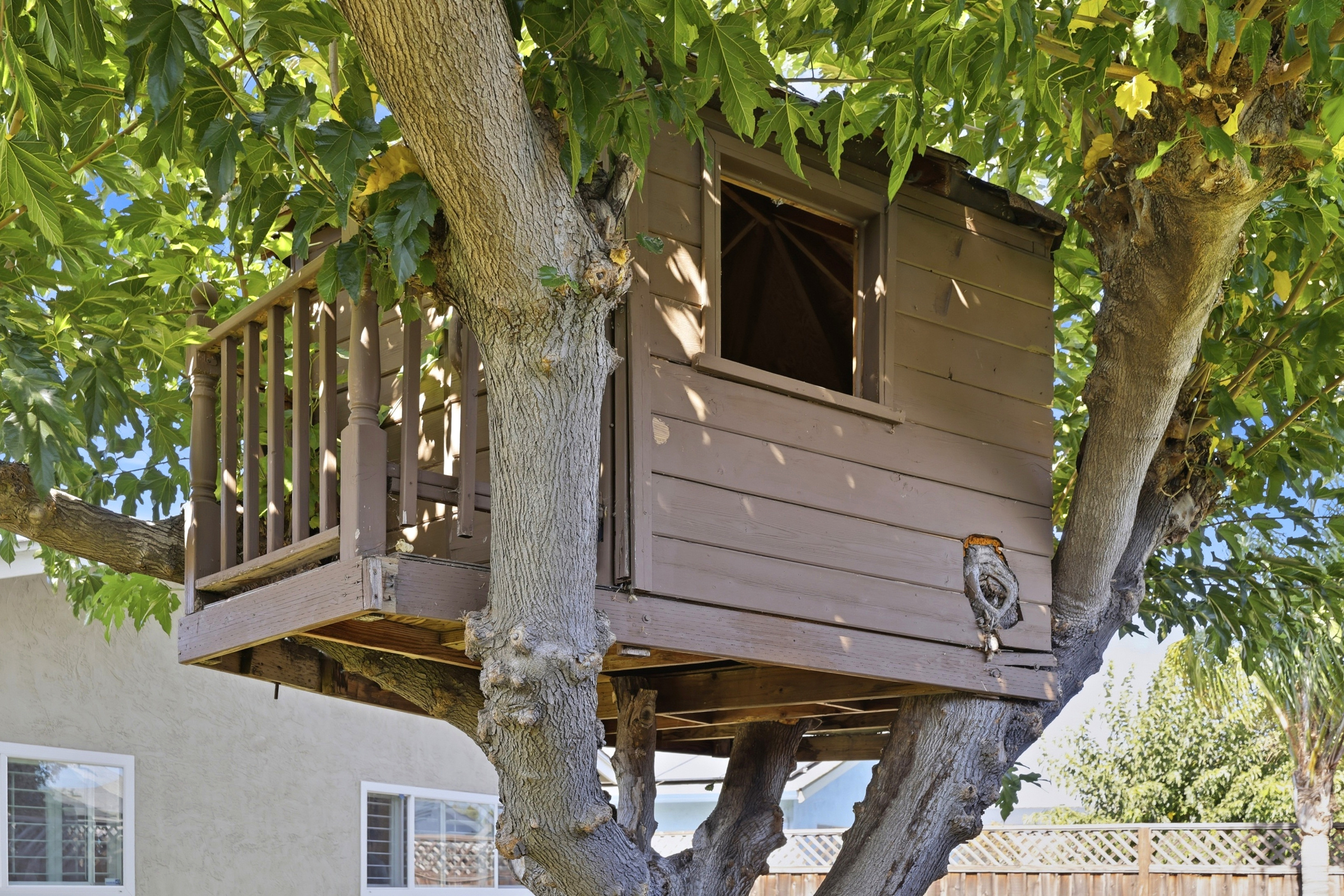 Whimsical backyard treehouse with shaded balcony retreat