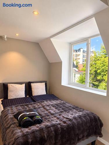 Studio 35 – Split-Level (4 guests)