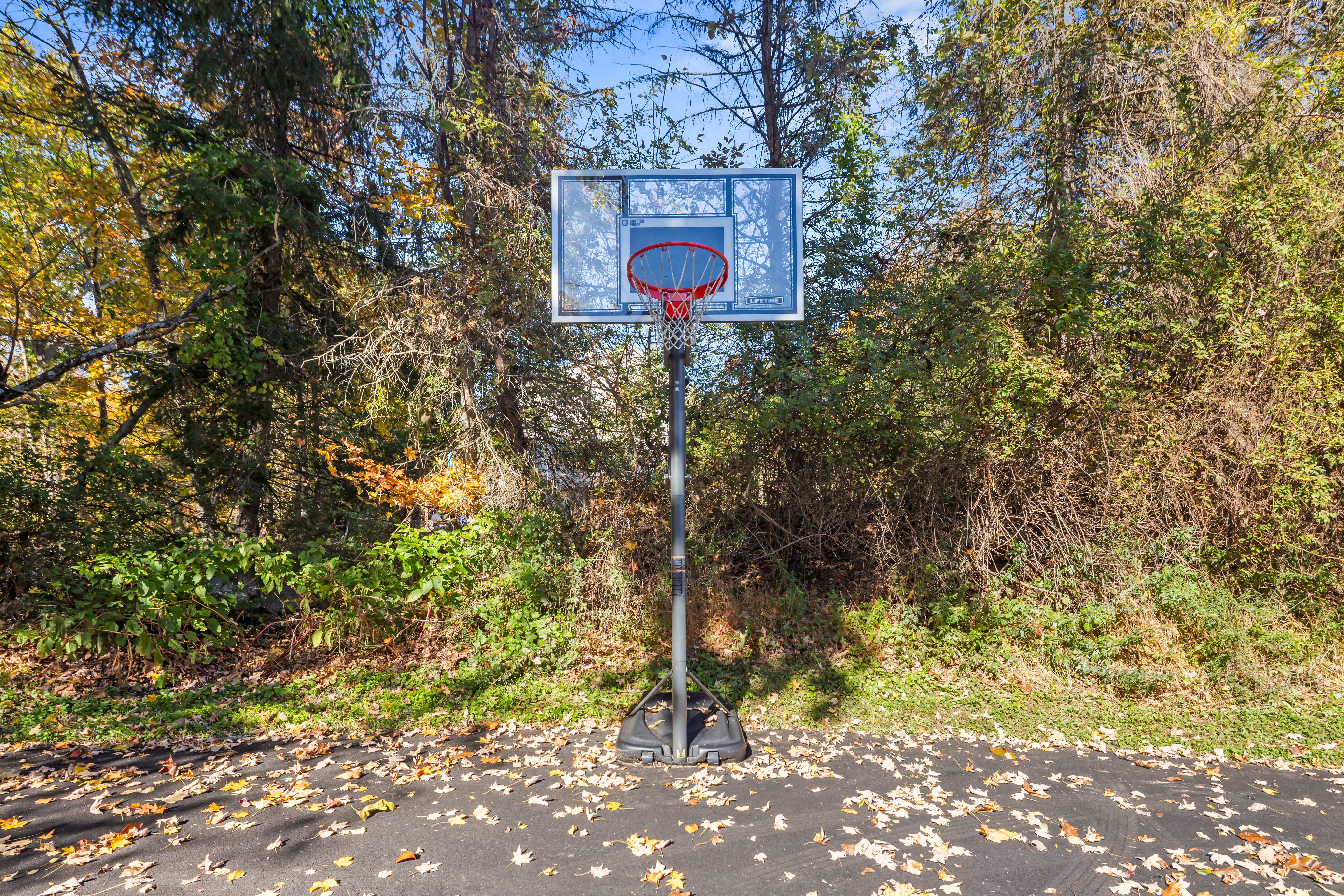 Private outdoor basketball hoop surrounded by peaceful wooded scenery