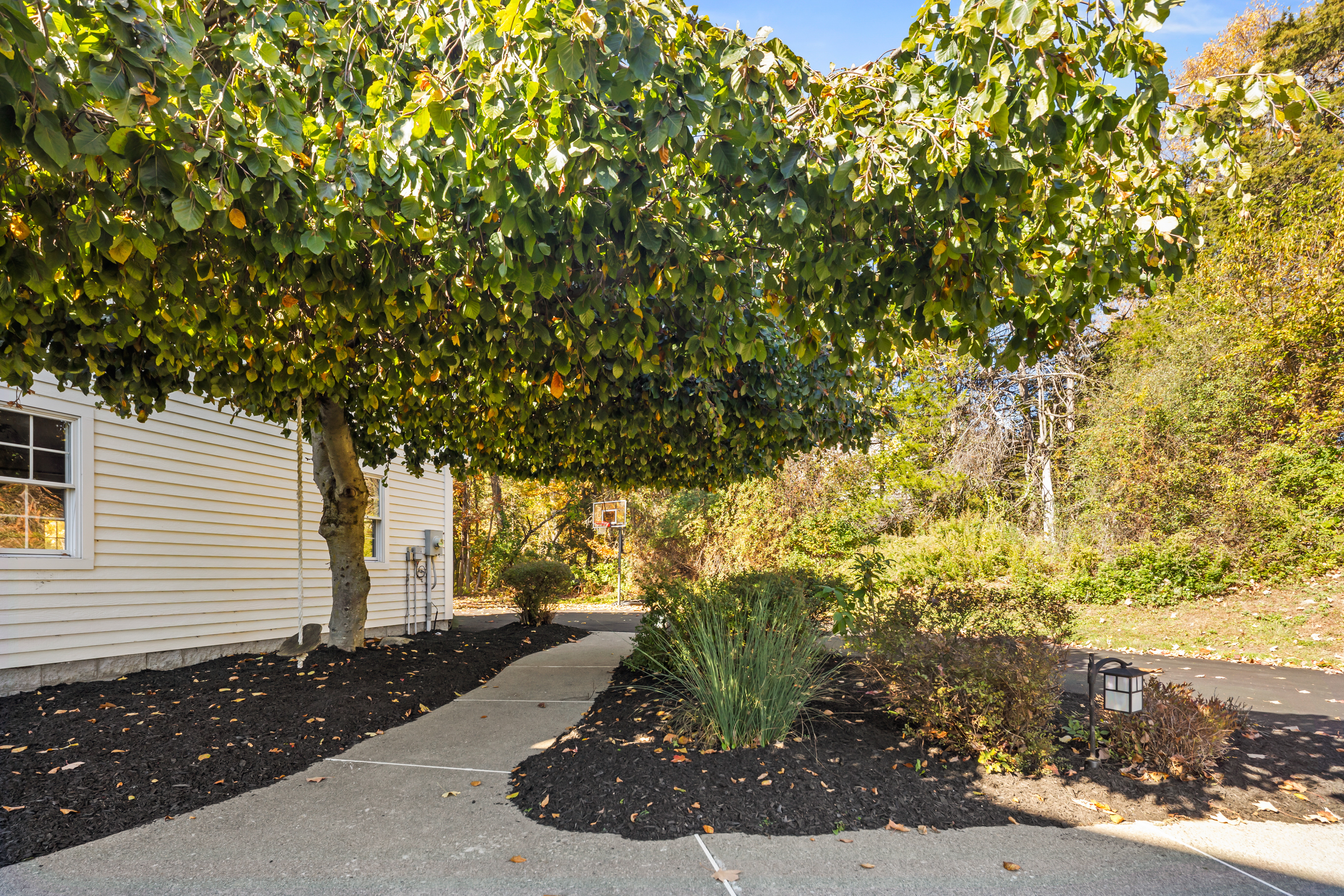 Inviting entry path with mature trees and beautifully landscaped grounds