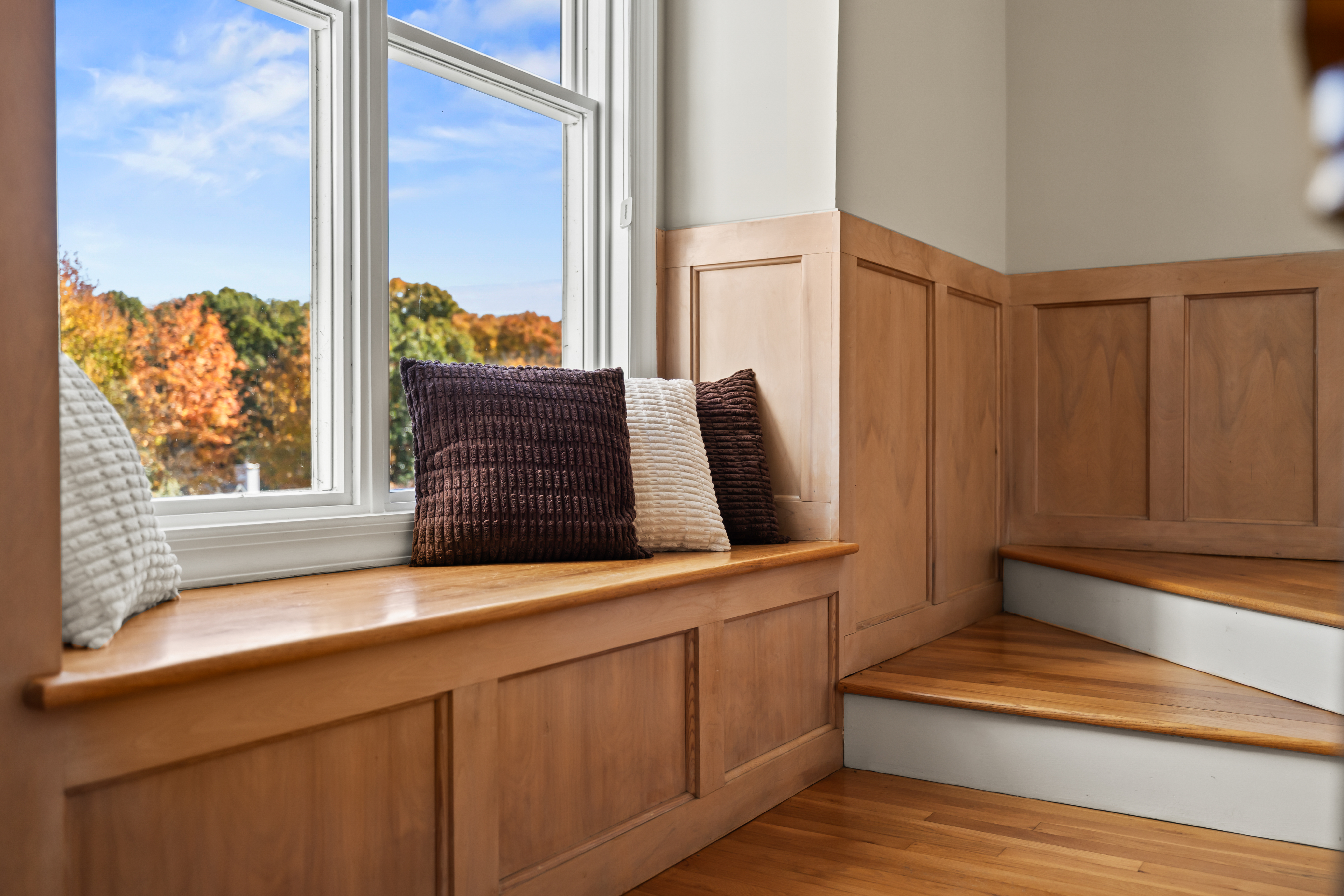 Cozy window seat with treetop views and warm natural light