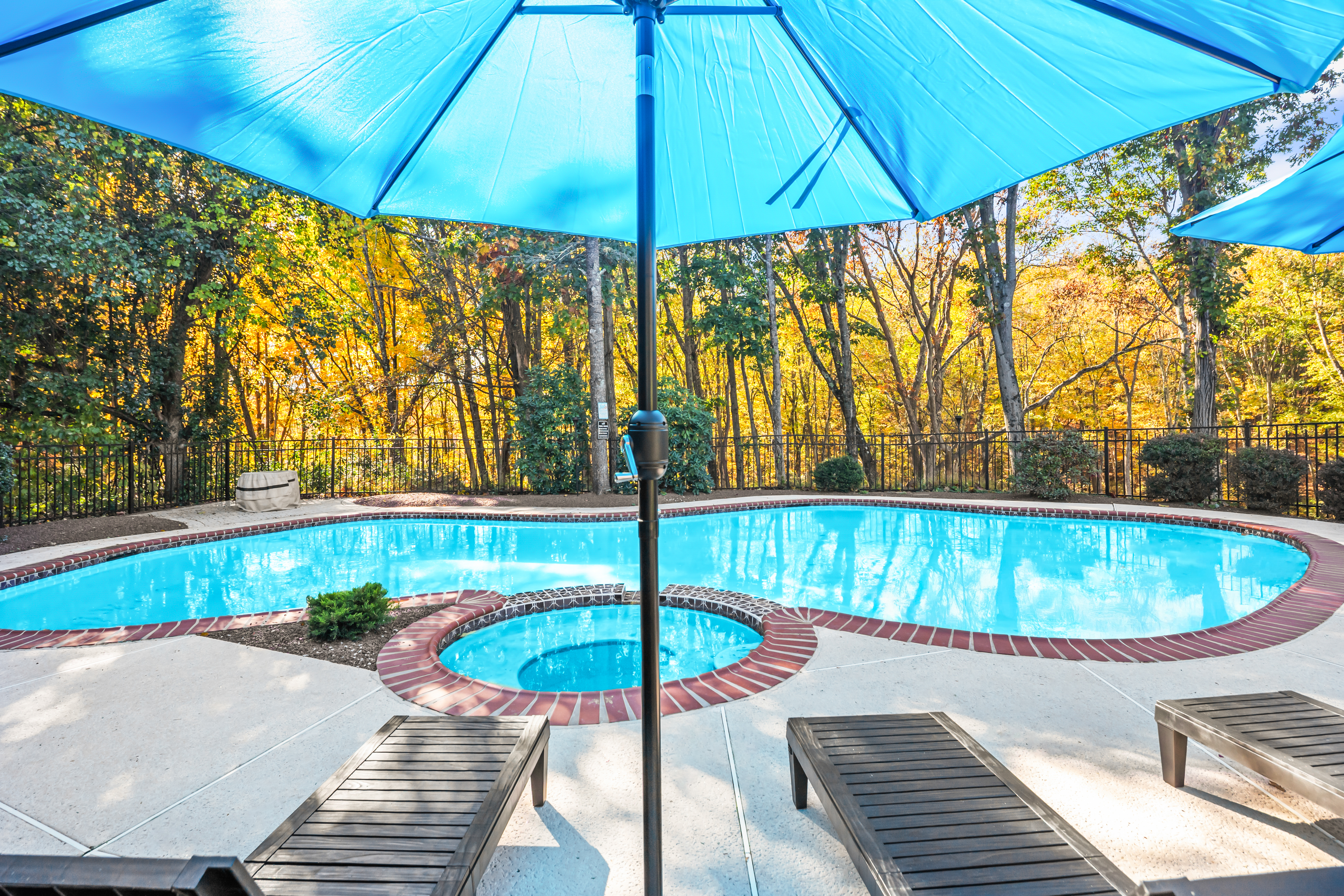 Private pool and spa with peaceful wooded views and shaded lounge seating