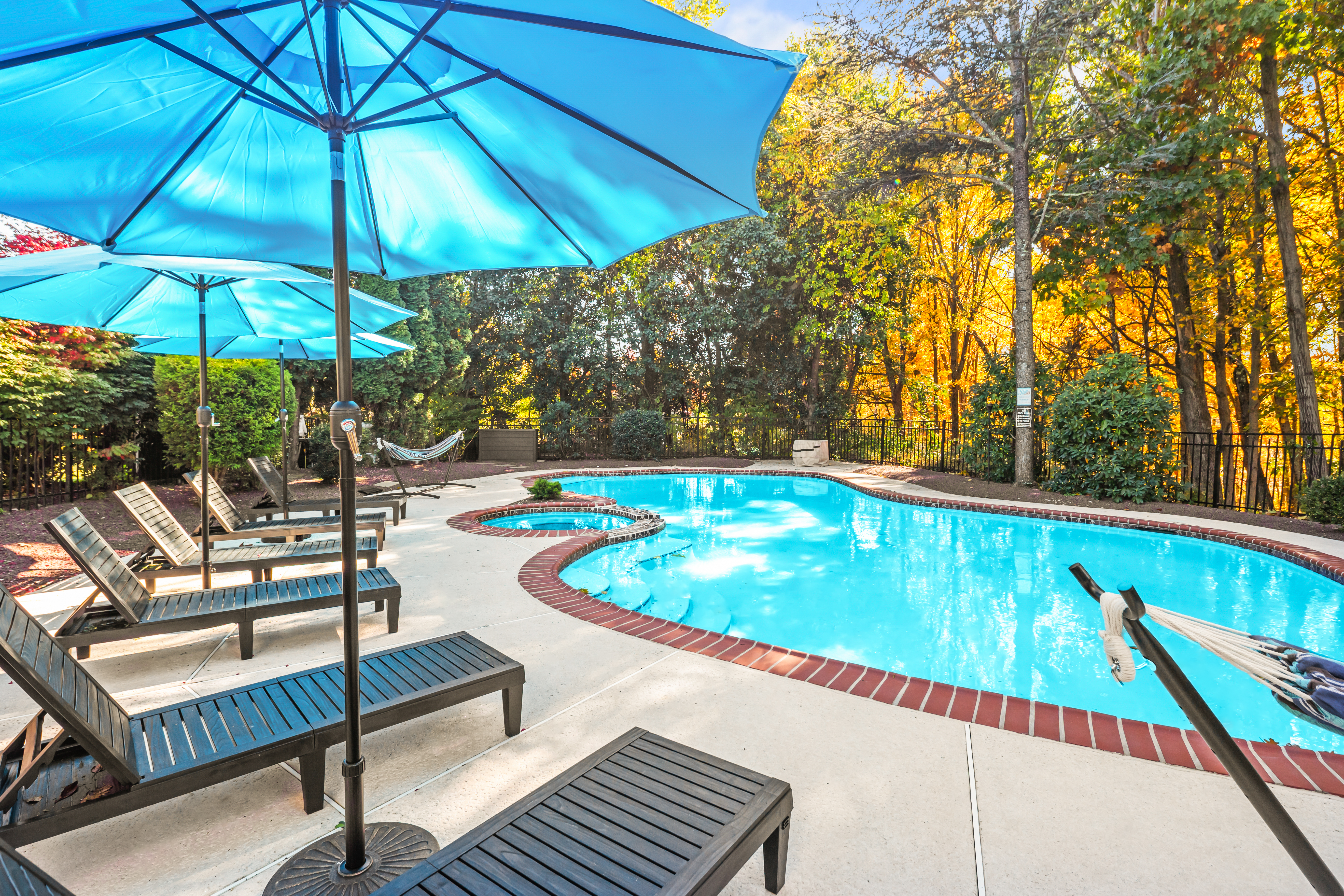 Private pool and spa with lounge chairs in a serene wooded setting