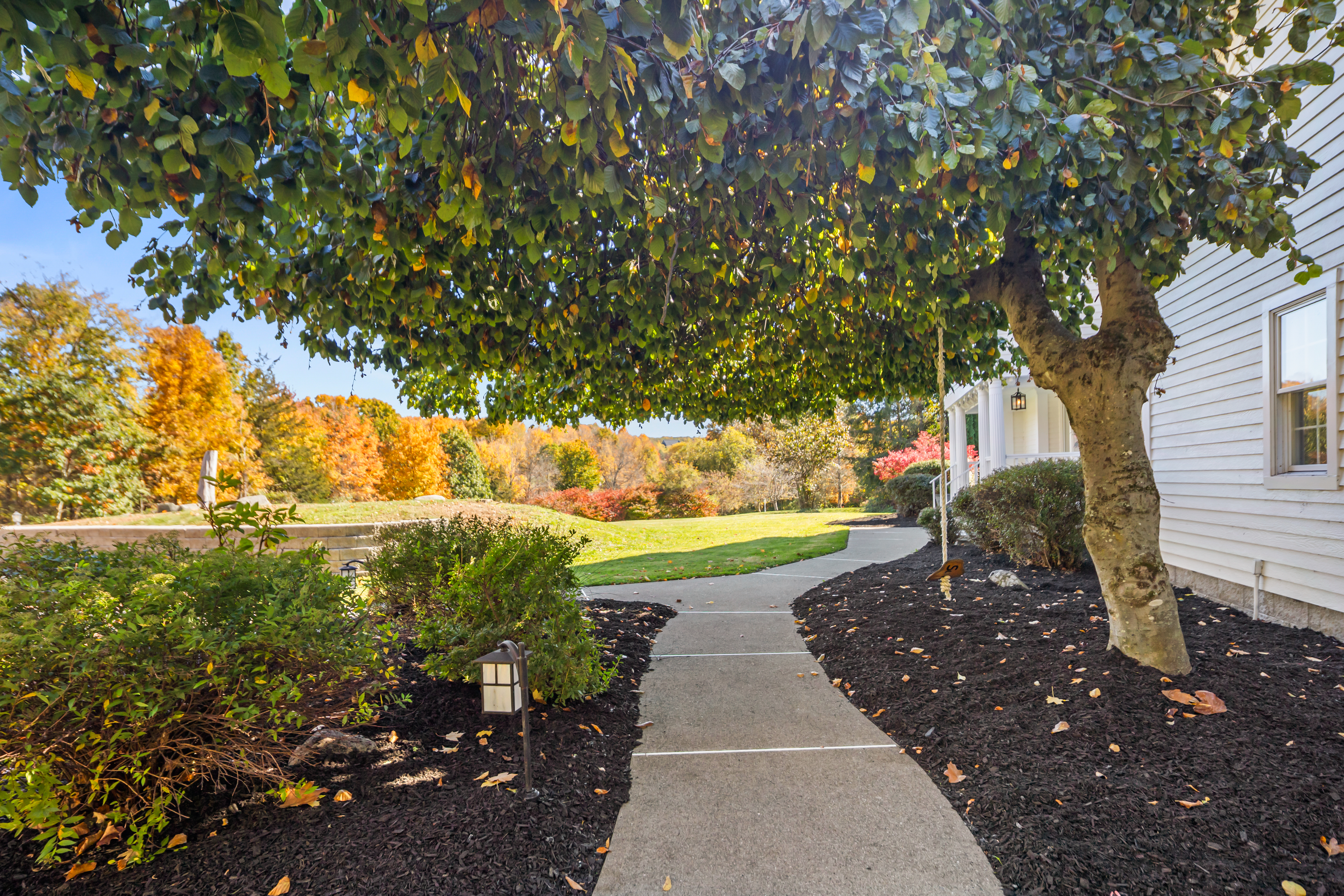 Tree-lined walkway with manicured landscaping and beautiful fall colors