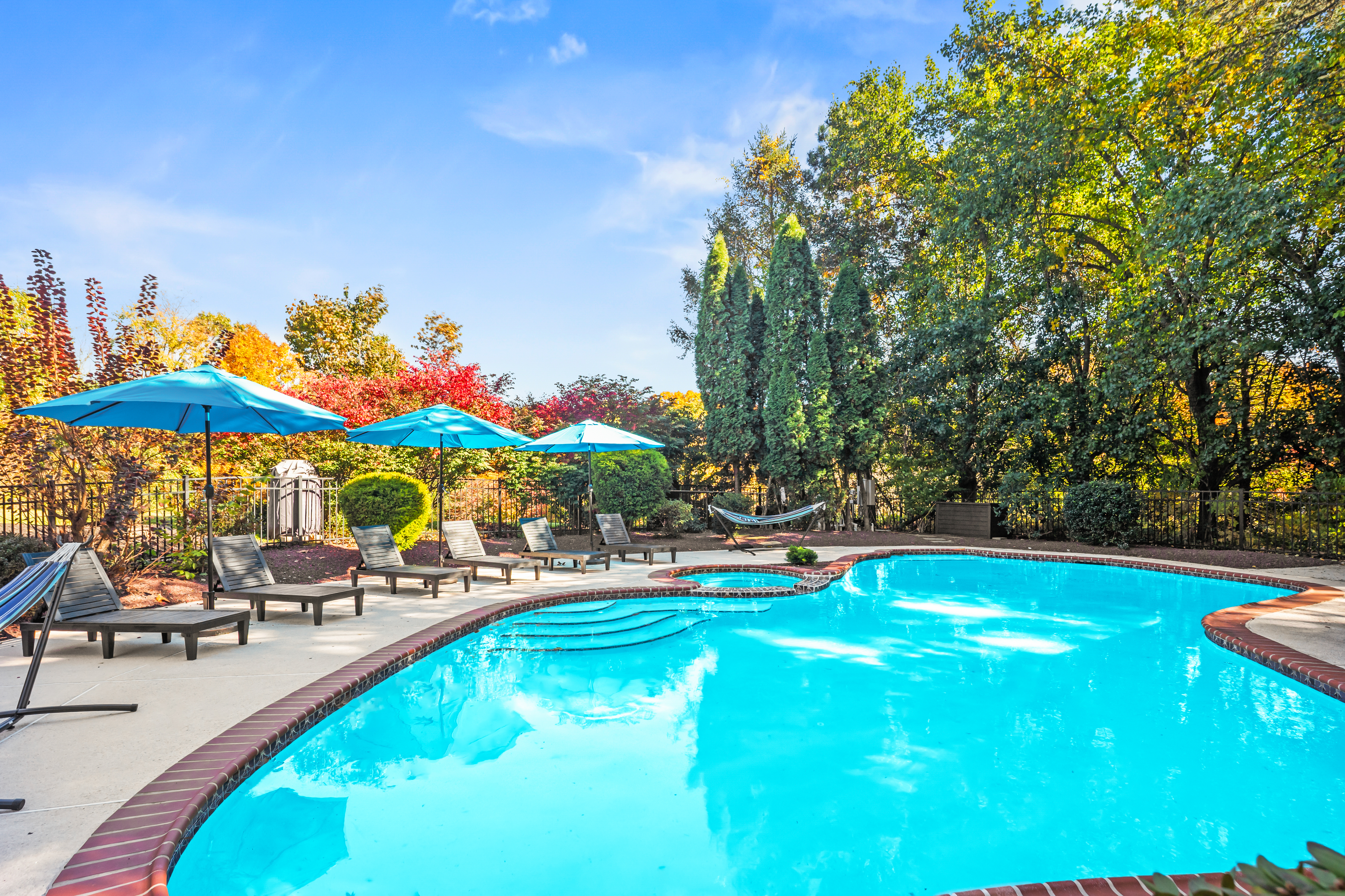 Private resort-style pool with loungers, umbrellas, and lush backyard views