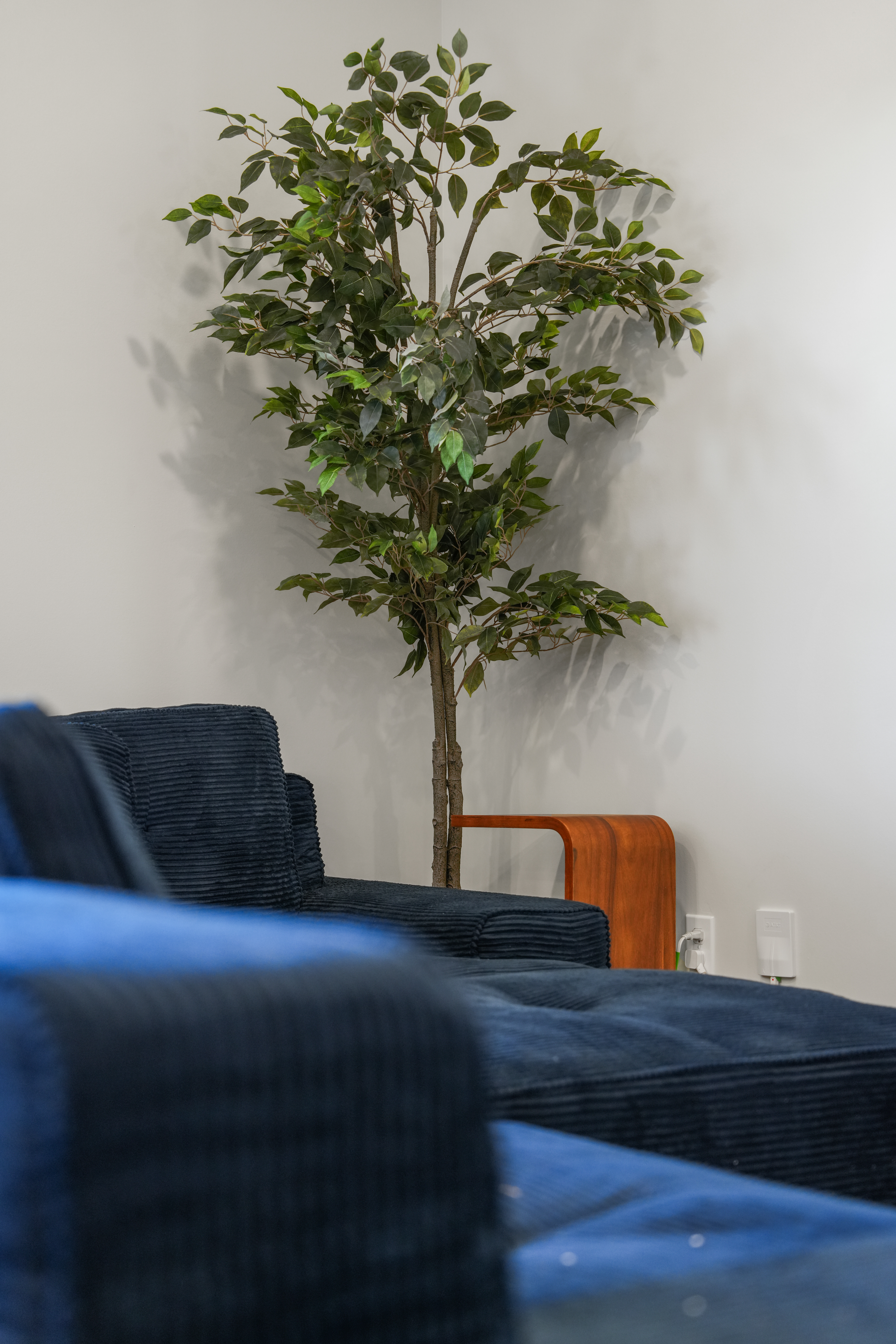 Cozy lounge corner with plush seating and a stylish indoor tree