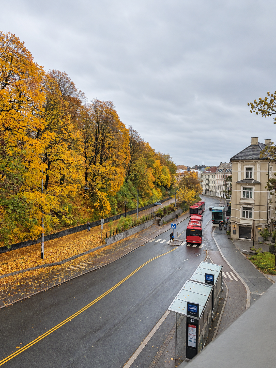 Scenic autumn street view beside a park and transit access