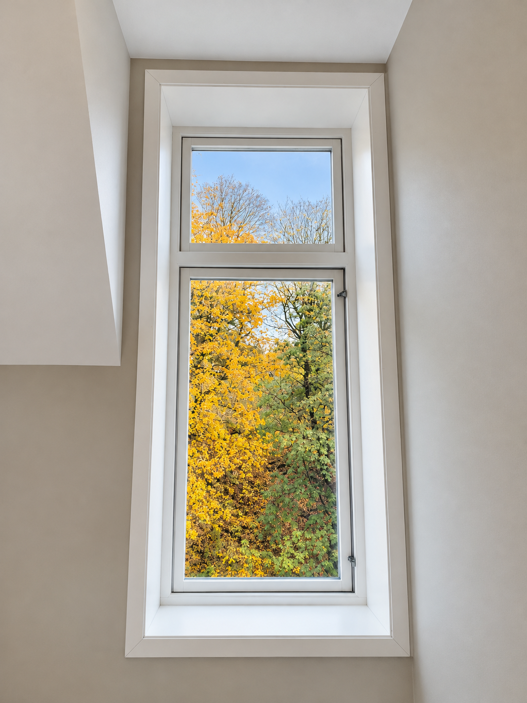 Tall window with beautiful autumn views and abundant natural light