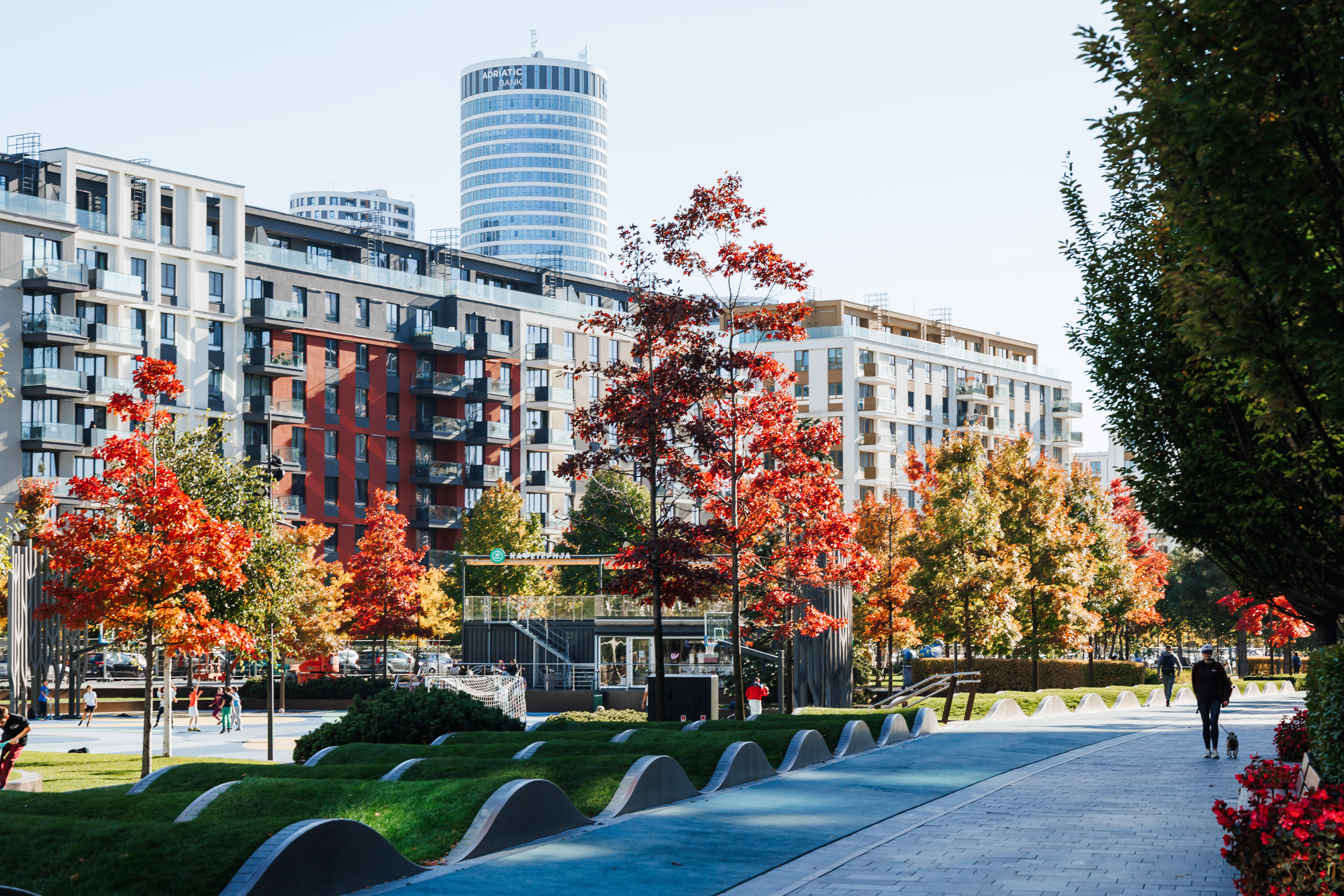 Scenic, walkable neighborhood with modern buildings and vibrant park views