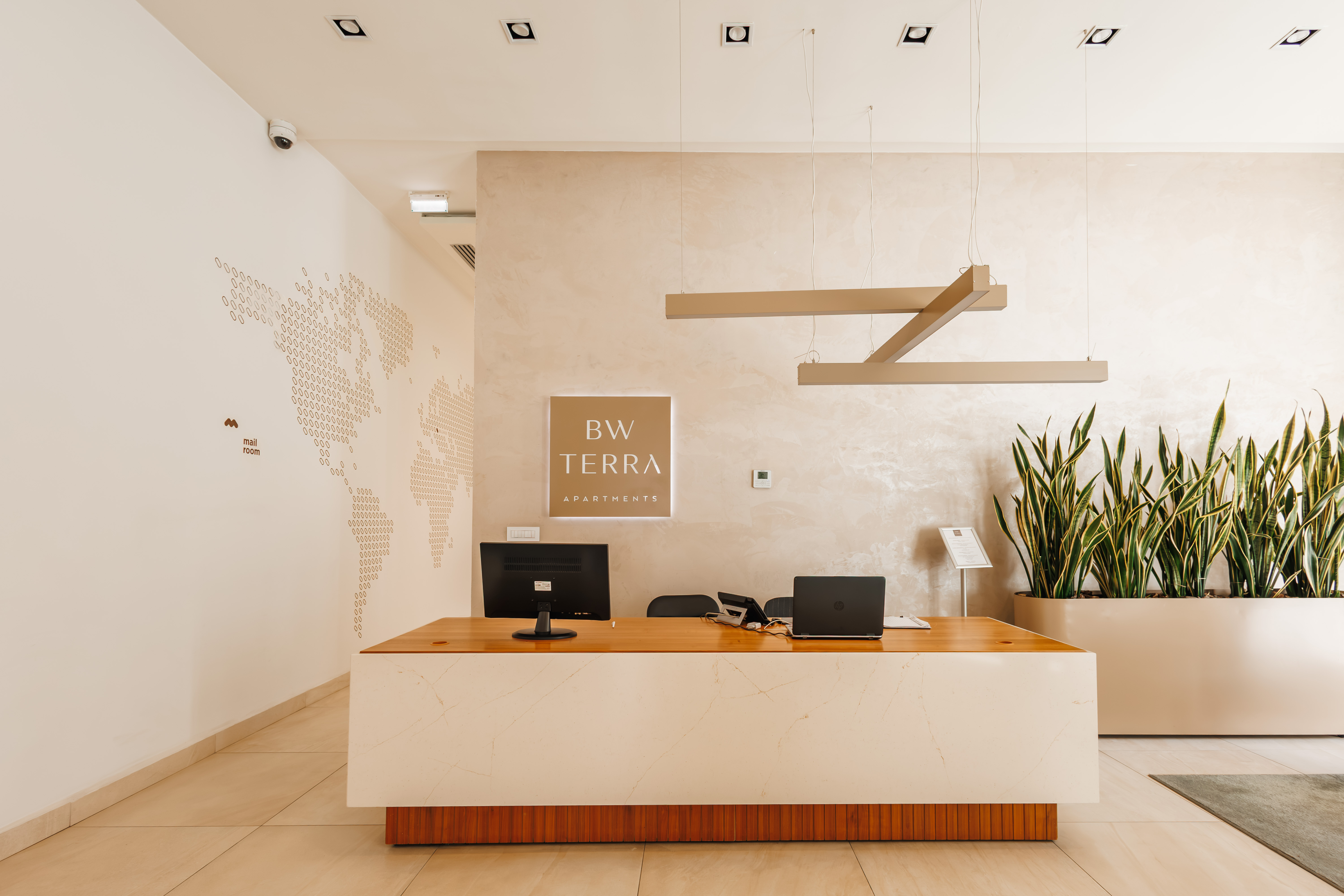 Modern, welcoming lobby with sleek design and stylish greenery