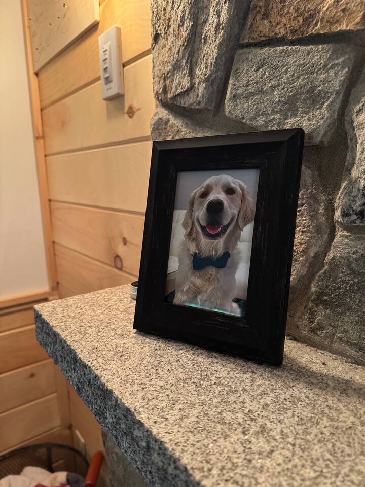 Meet Troy, our golden retriever that we have named our family cabin after!
