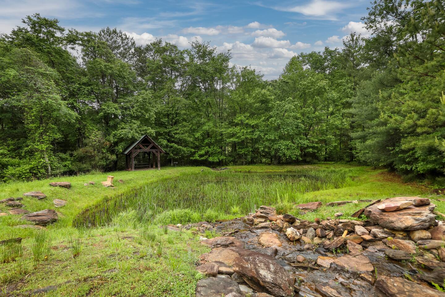 Take a walk around the pond.