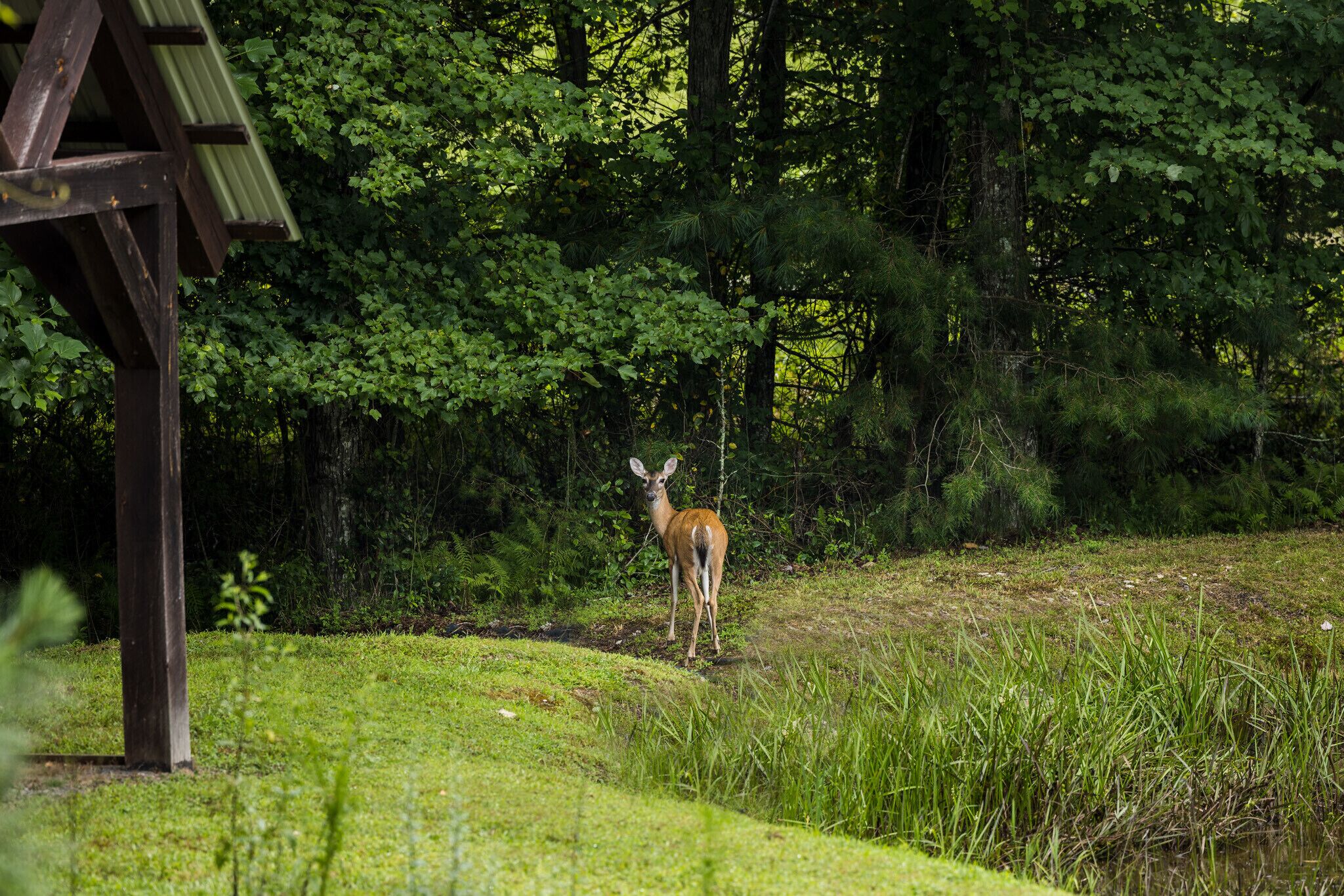 Lovely neighbors
