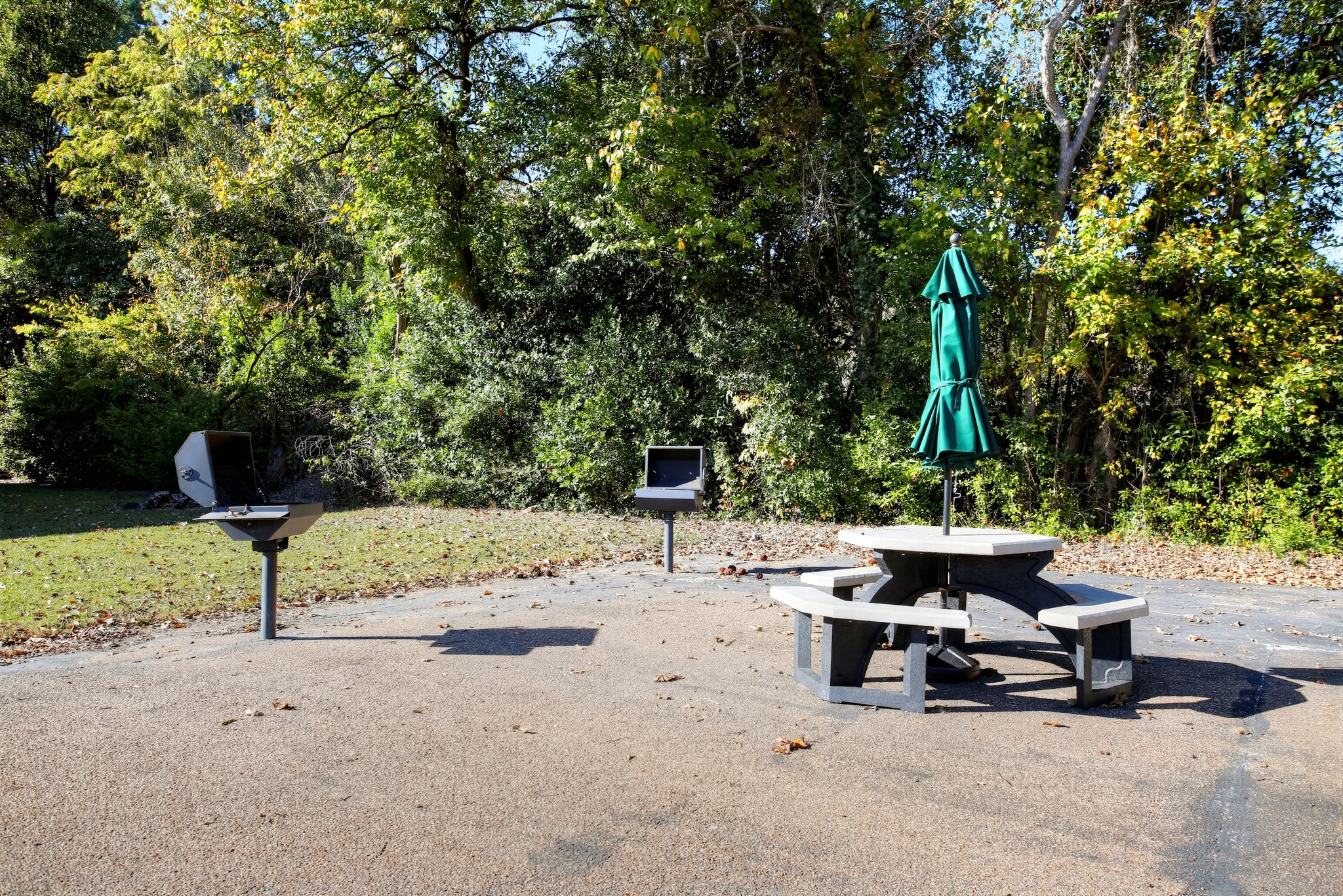 Shaded picnic area with grills, seating, and peaceful wooded surroundings