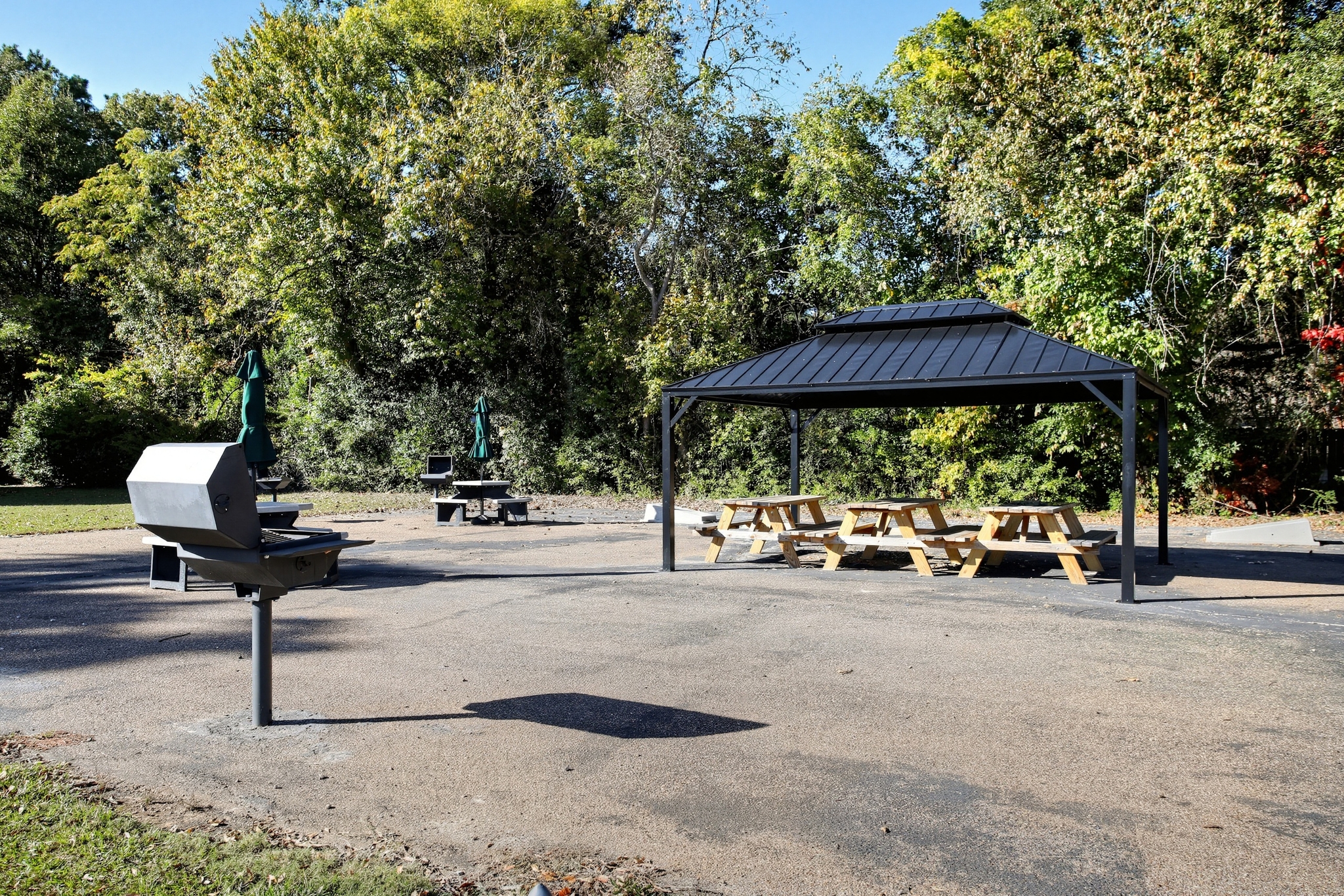 Shaded picnic pavilion with grills in a peaceful, tree-lined setting