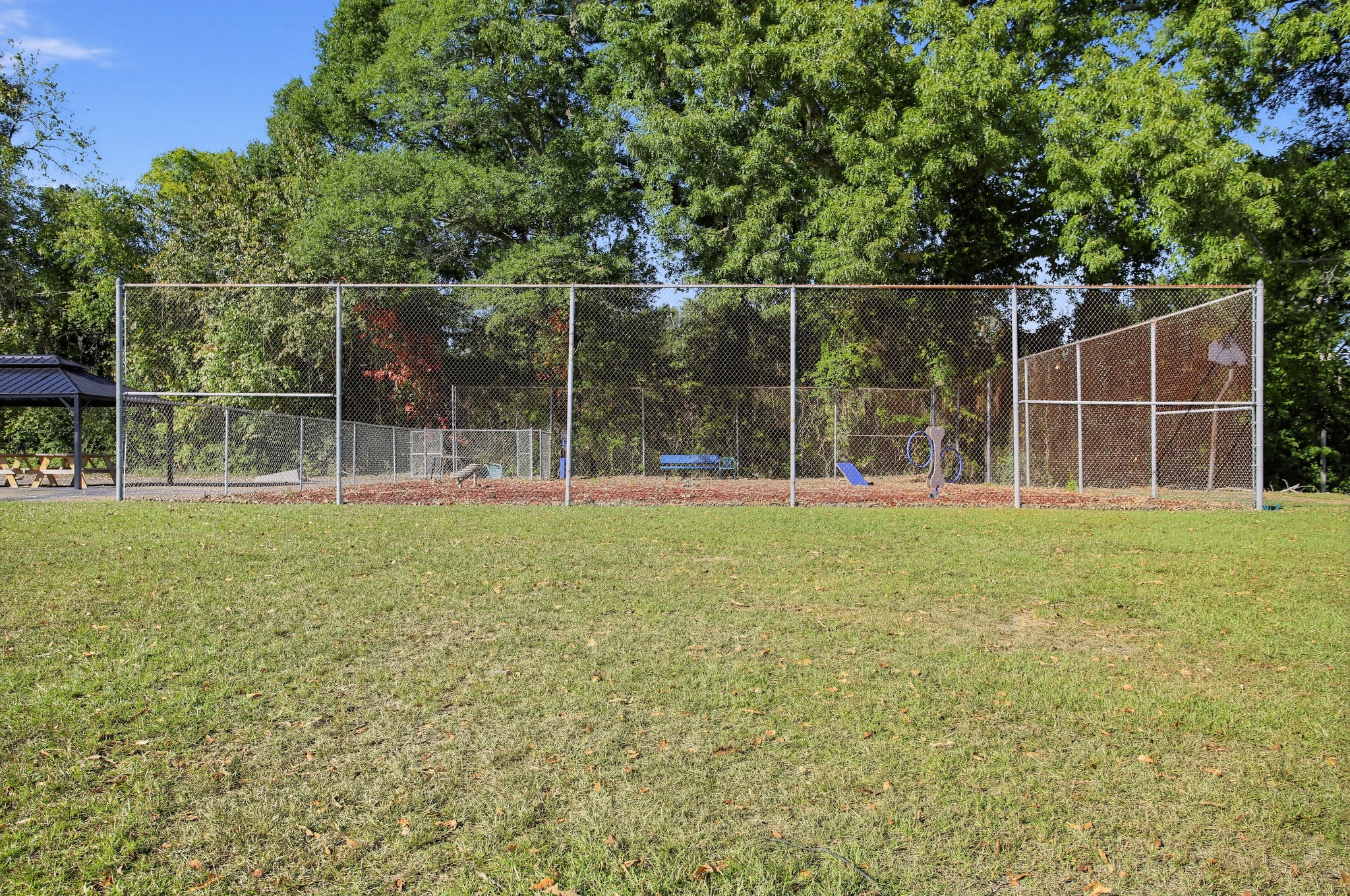 Large fenced dog play area with shady trees and open green space