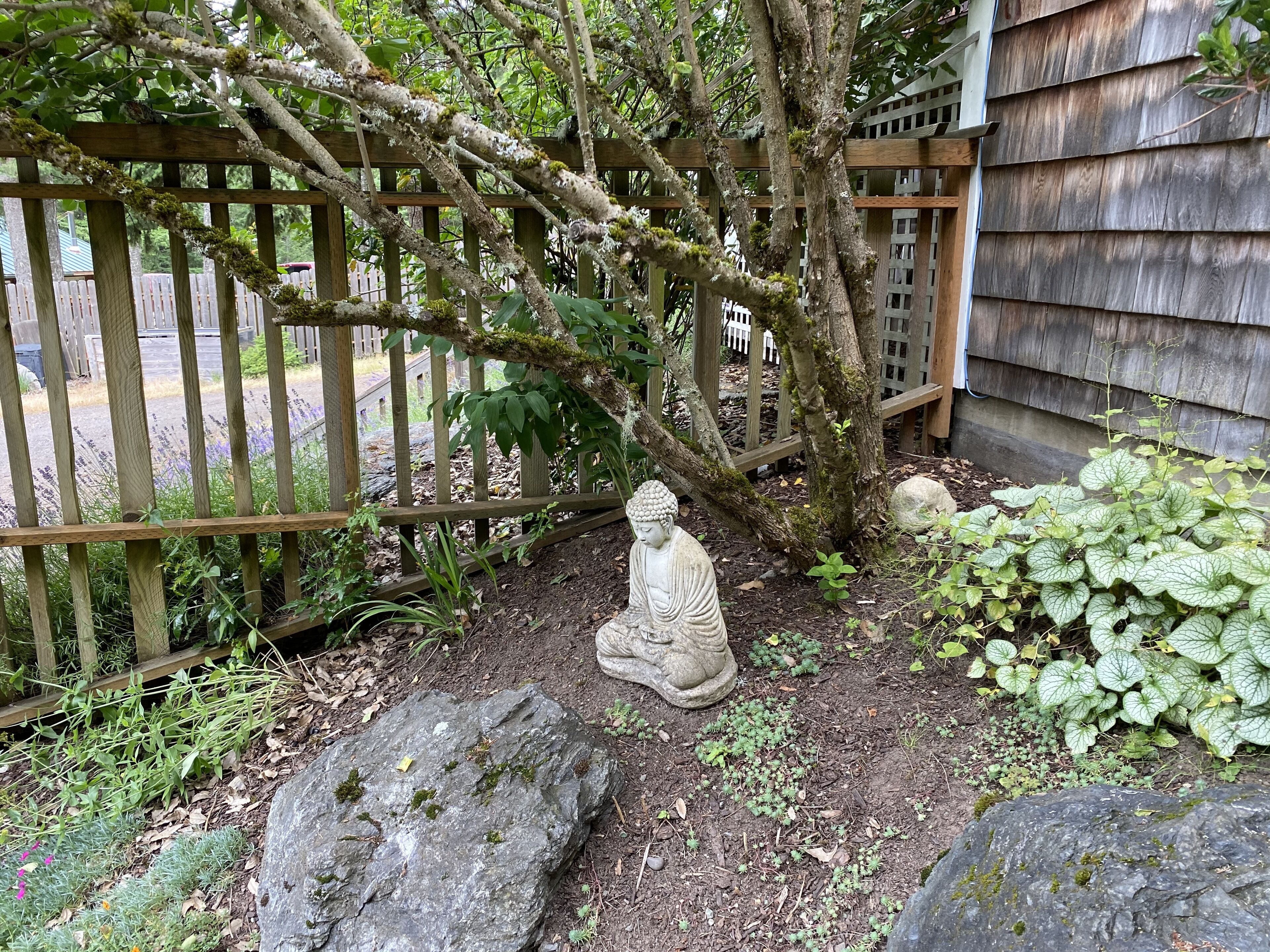 Relax in our bountiful garden