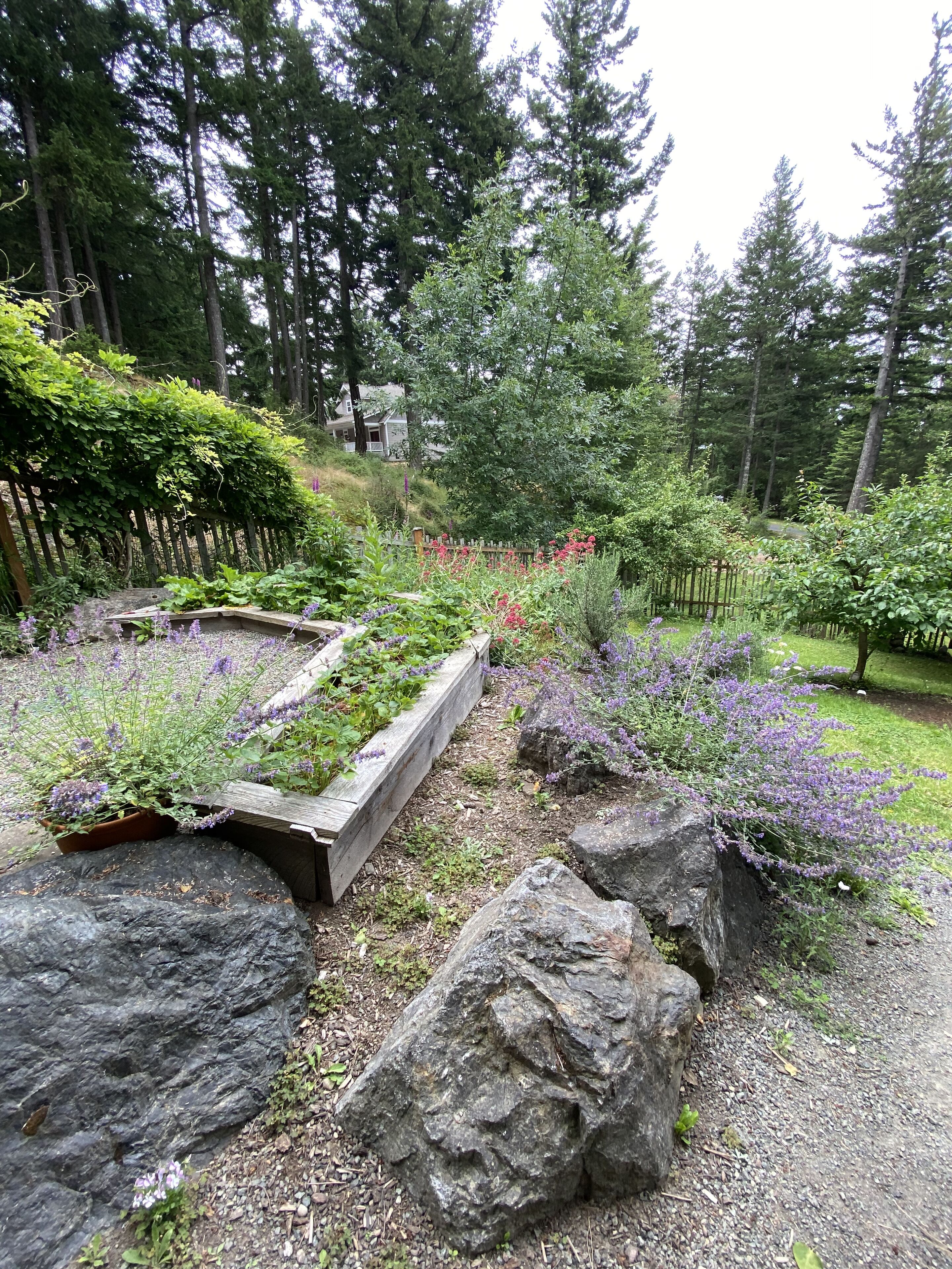 Meditation garden with fruit trees, seating, herbs, seating.