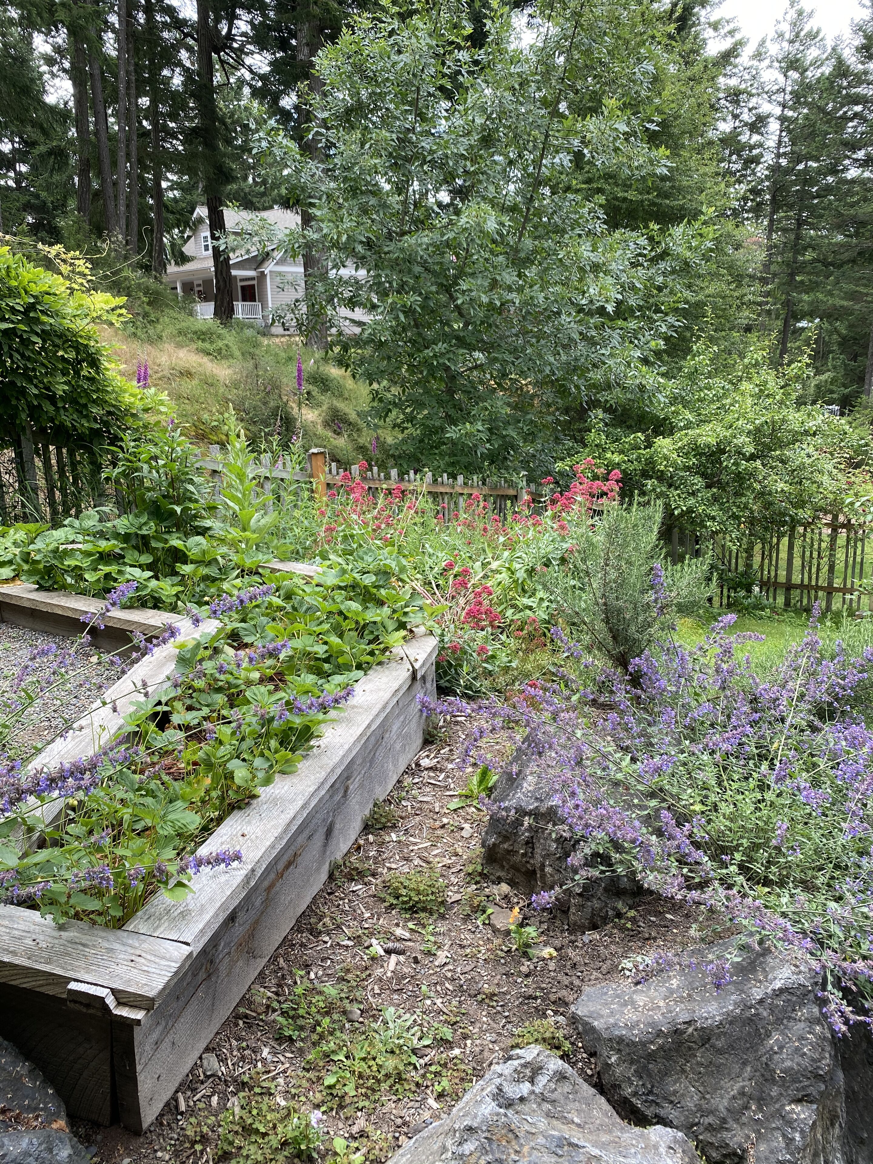 Pick your own vegetables