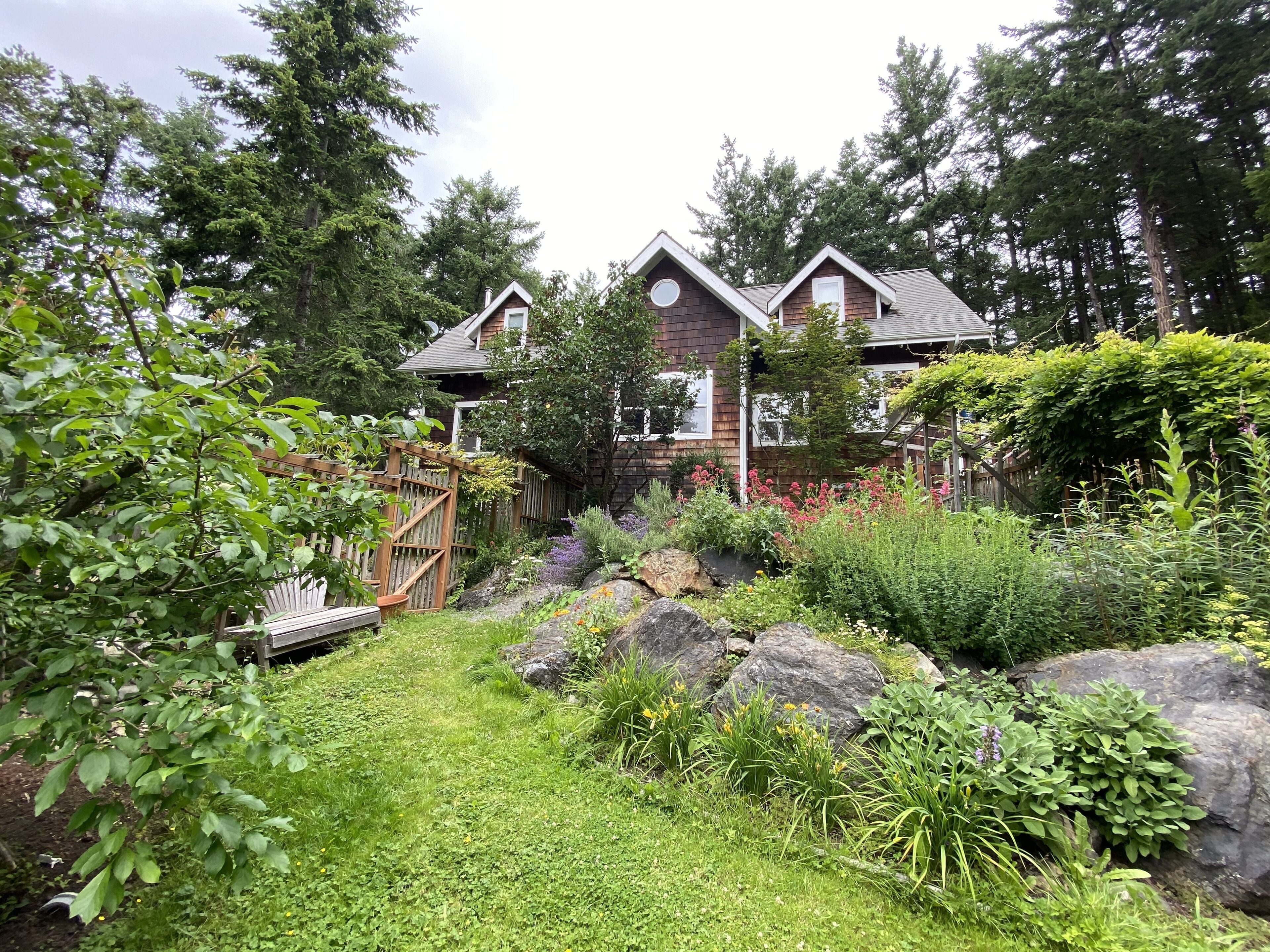The garden in full bloom