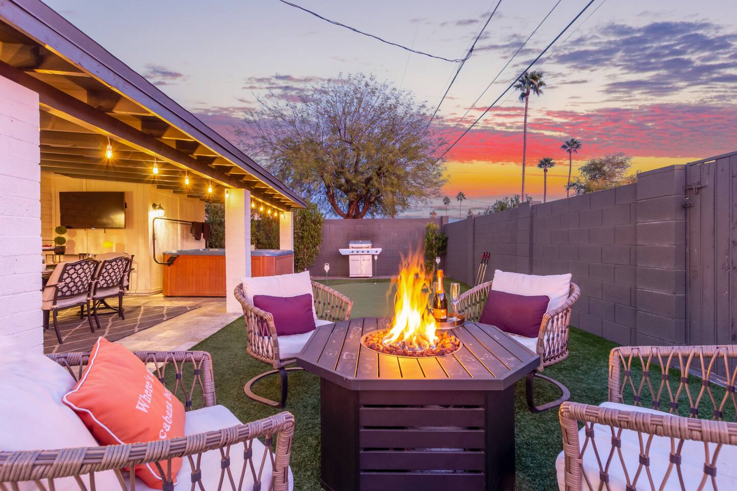 The Backyard