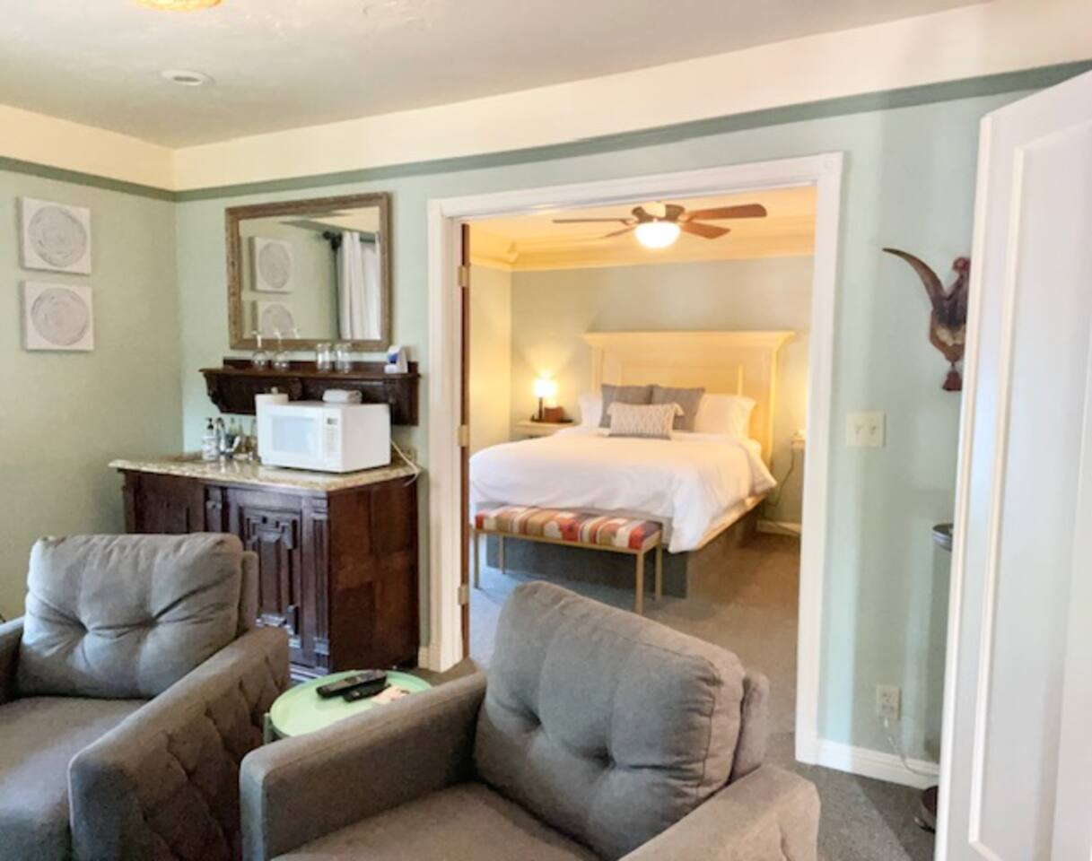 #7 Jacuzzi tub|Balcony| Historic Downtown suite