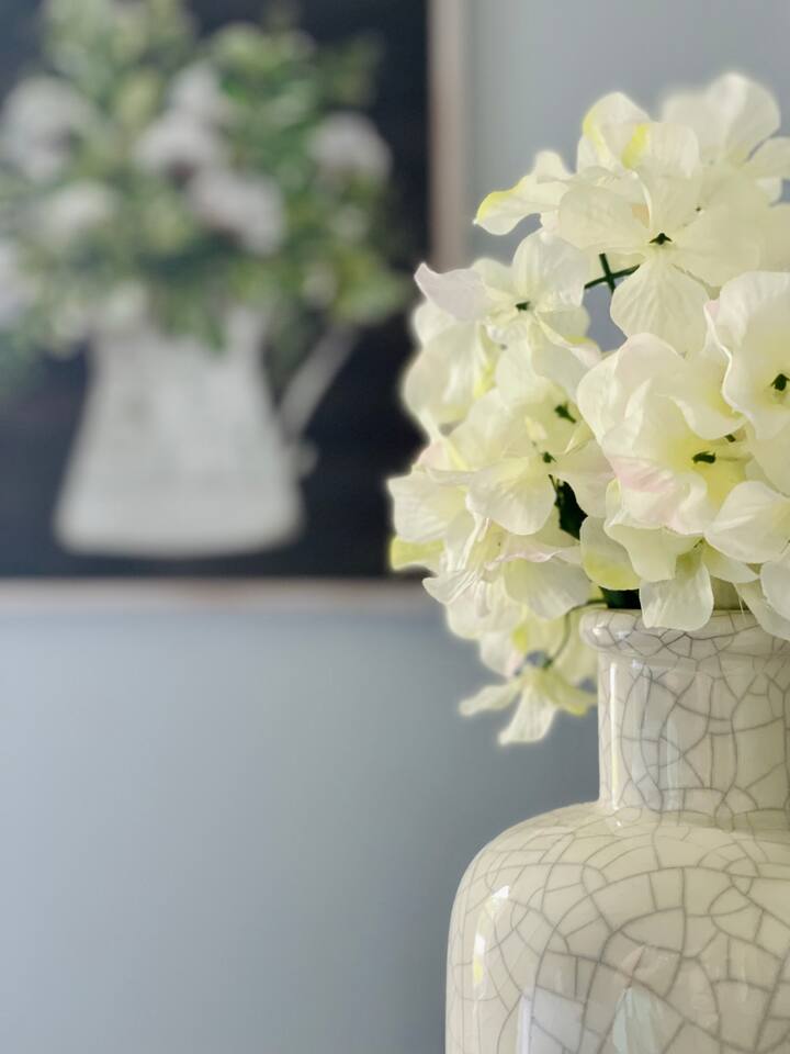 Green Roof Inn | 2BD/1BA  Centrally Located Home