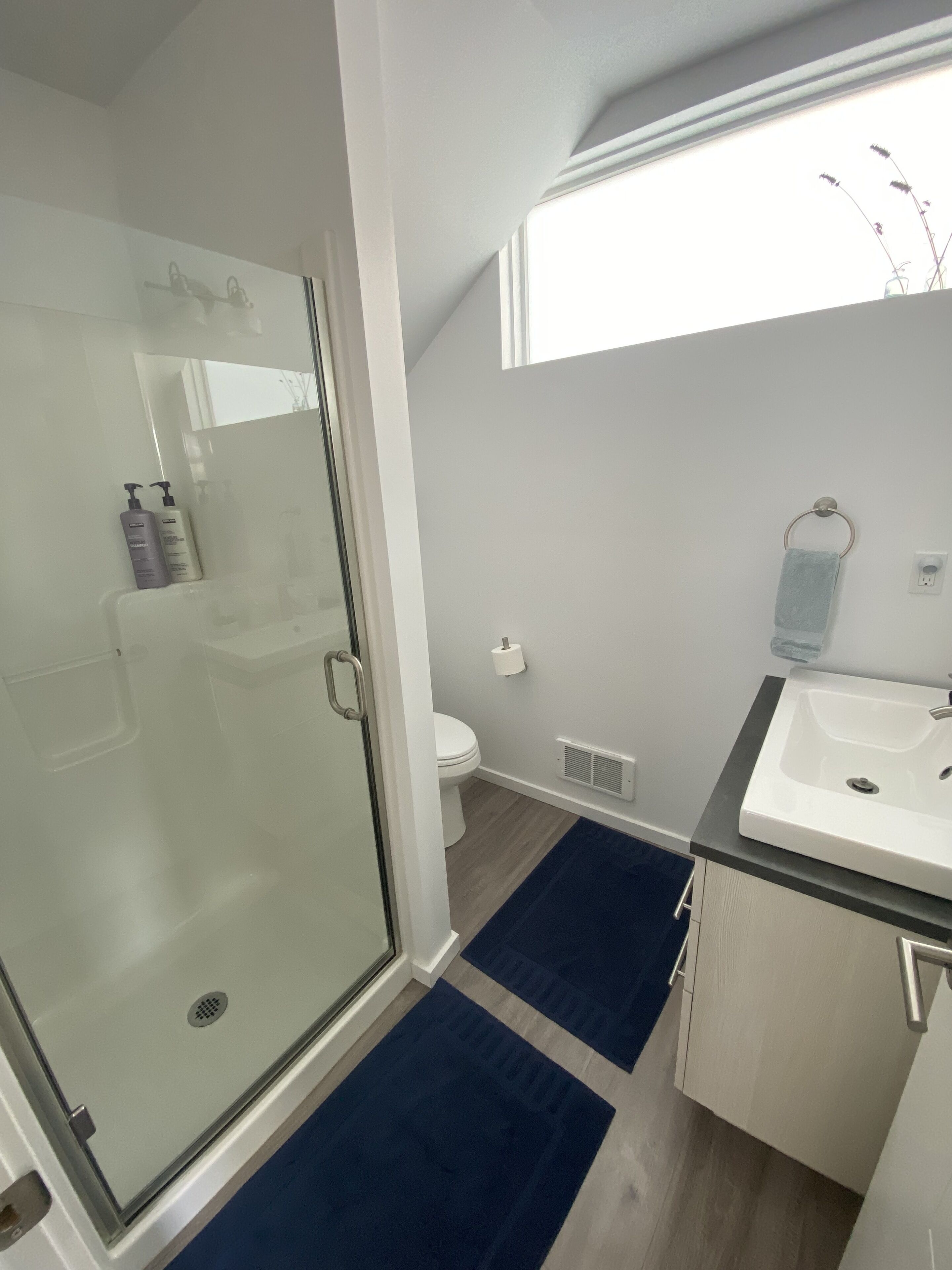 Downstairs bathroom with sink, shower, and toilet.