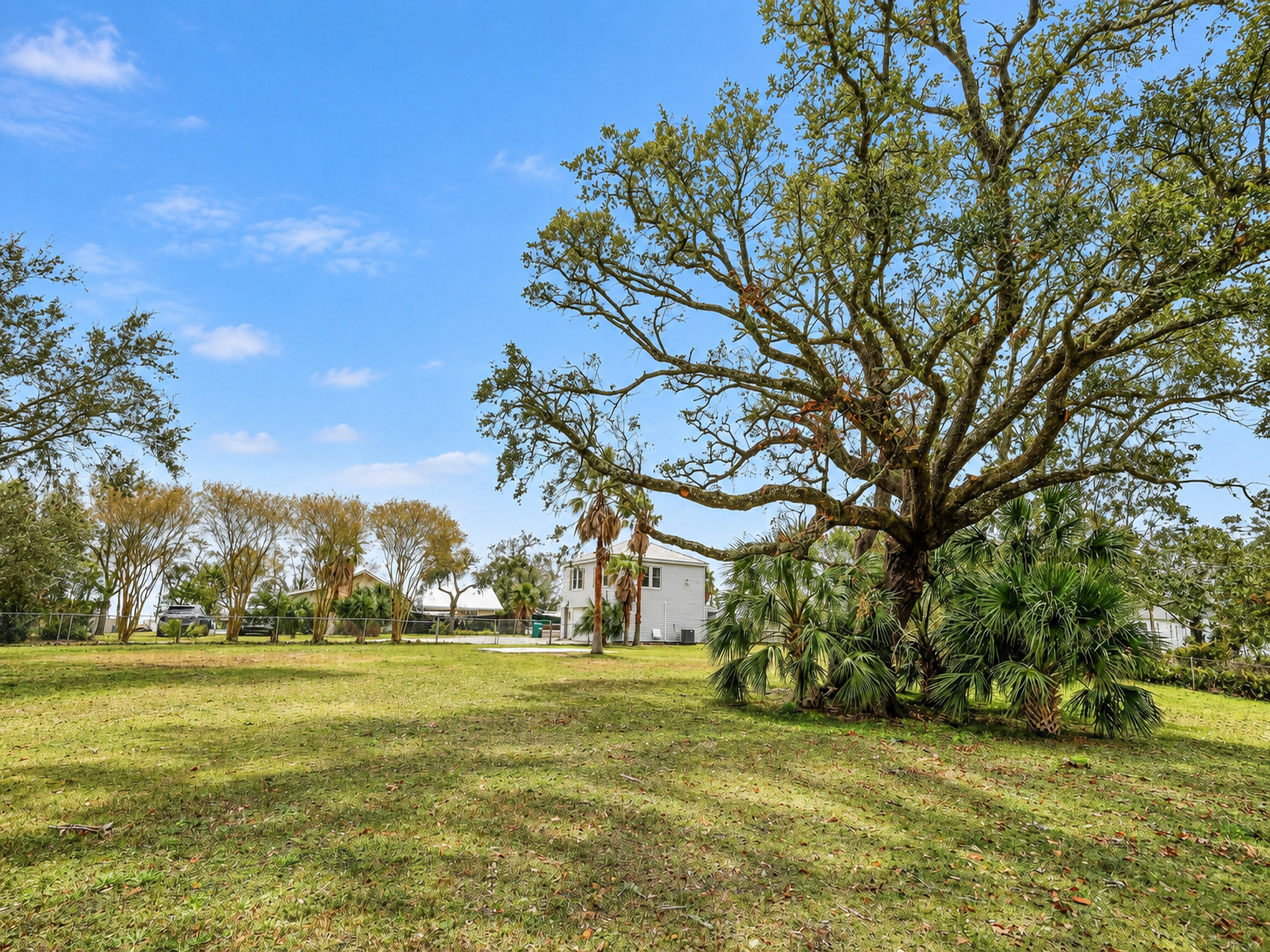 Spacious yard with majestic shade tree and peaceful green space
