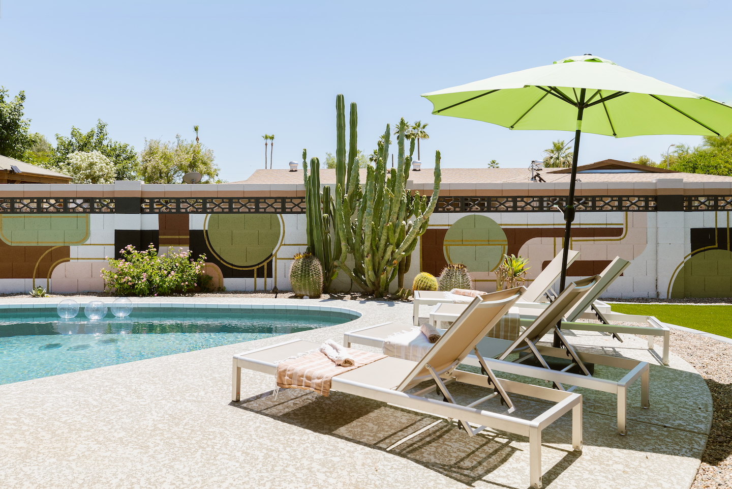 The Lounge Scottsdale