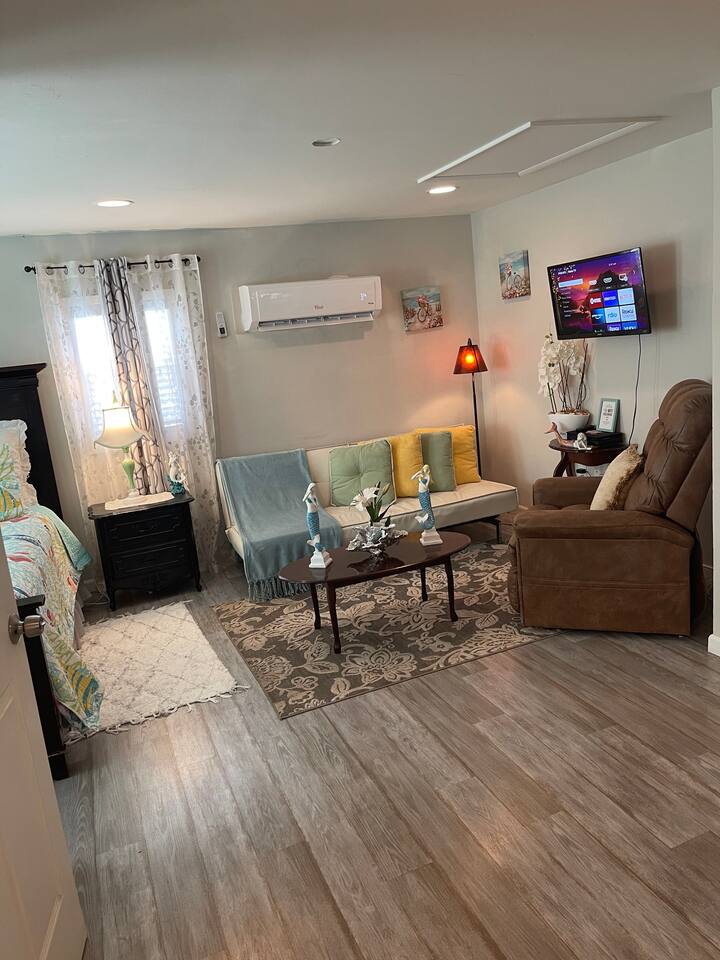 Bright Spacious Studio Near City and Palm Beach