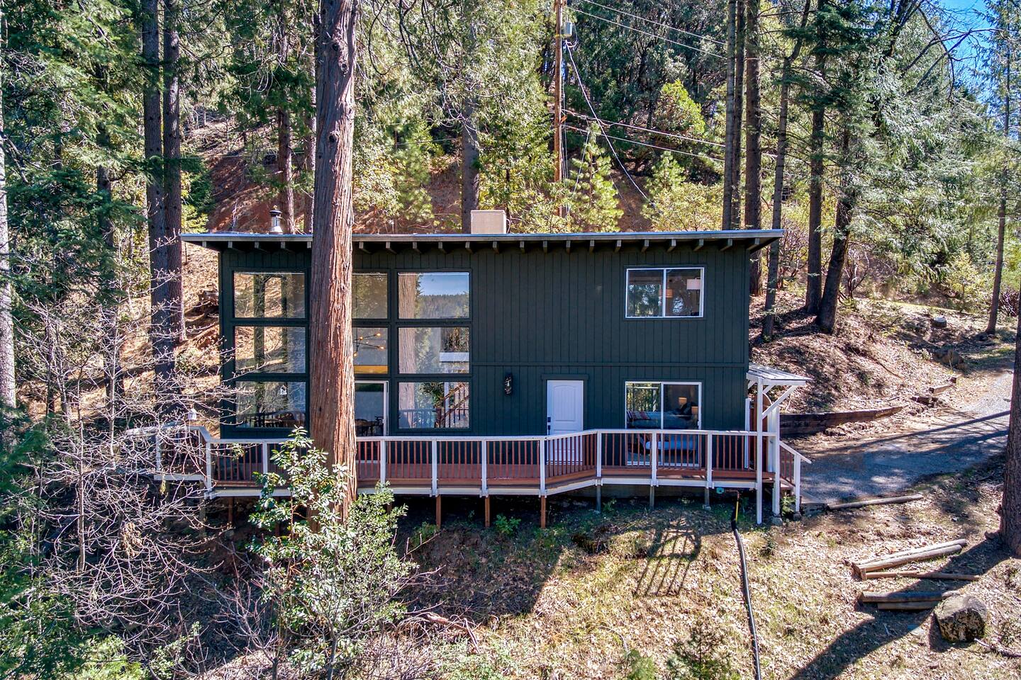 Glass Cabin Under the Pines | Hot Tub • Seclusion