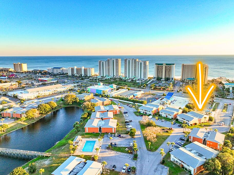 Emerald Pulse in the Heart of Destin