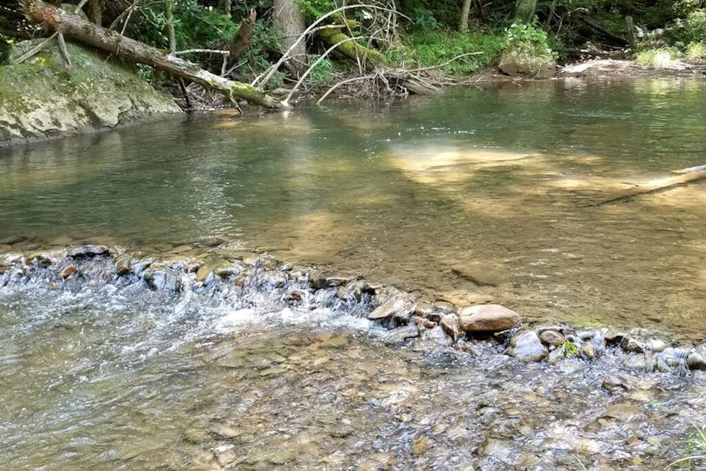 Riverfront RV SiteJ2 Mountain Vista & Trout Stream