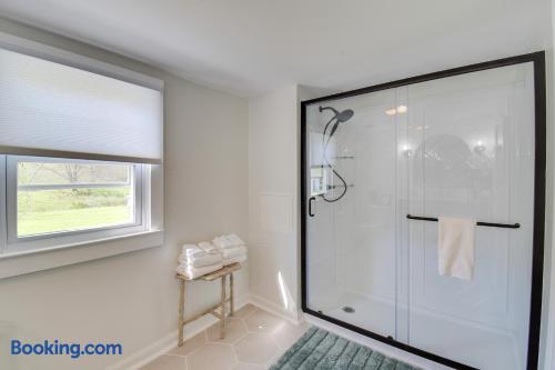 Downstairs bathroom shower
