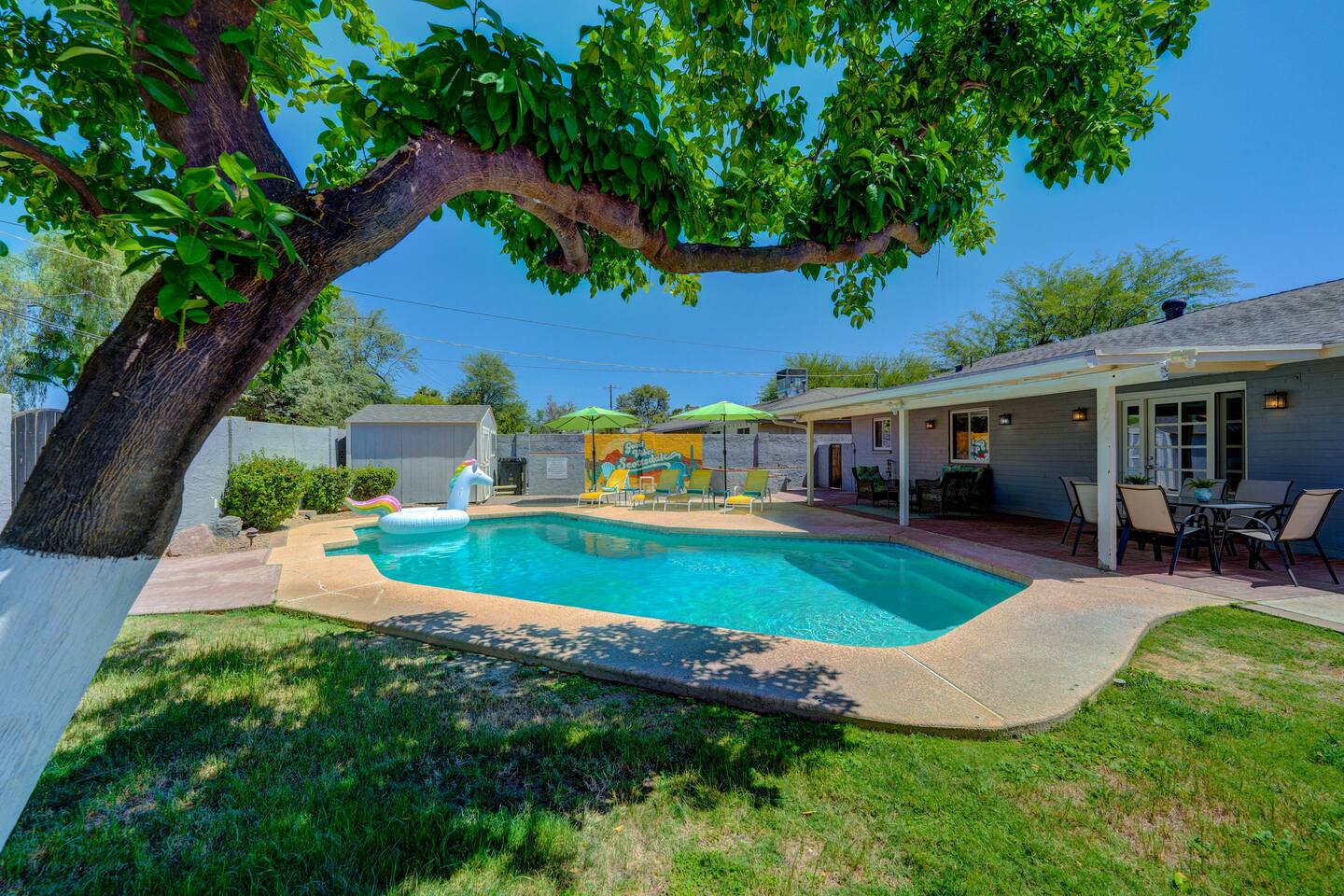Does it get any dreamier? The giant grapefruit tree bears delicious pink grapefruits twice a year and shade all year round. Or you could head to one of our favorite dive bars "The Roadrunner." It's a 10-minute walk!