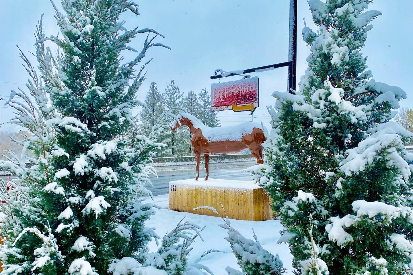 Charming Cabin 5 at Longhorse Ranch!