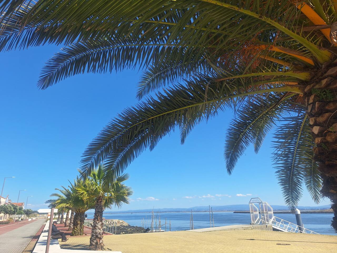 Apartment close to the lagoon, São Jacinto, Aveiro