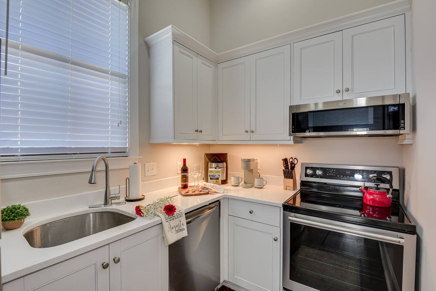 Luxurious 1 Bdrm Downstairs Walkable to Downtown