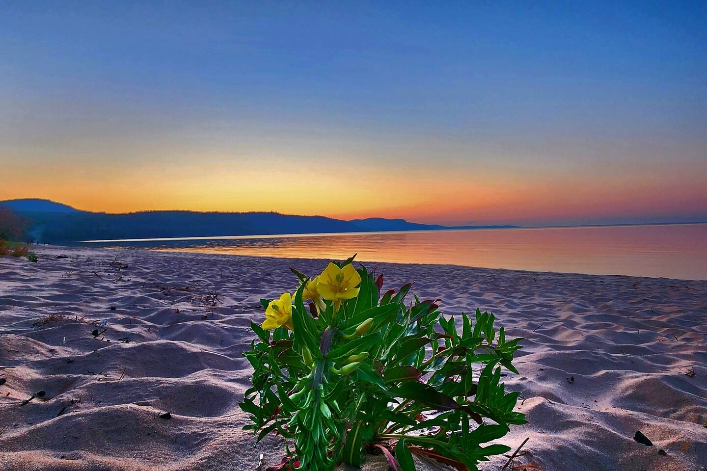 *Unmatched Lake Superior views Beach, Bike or Ski*