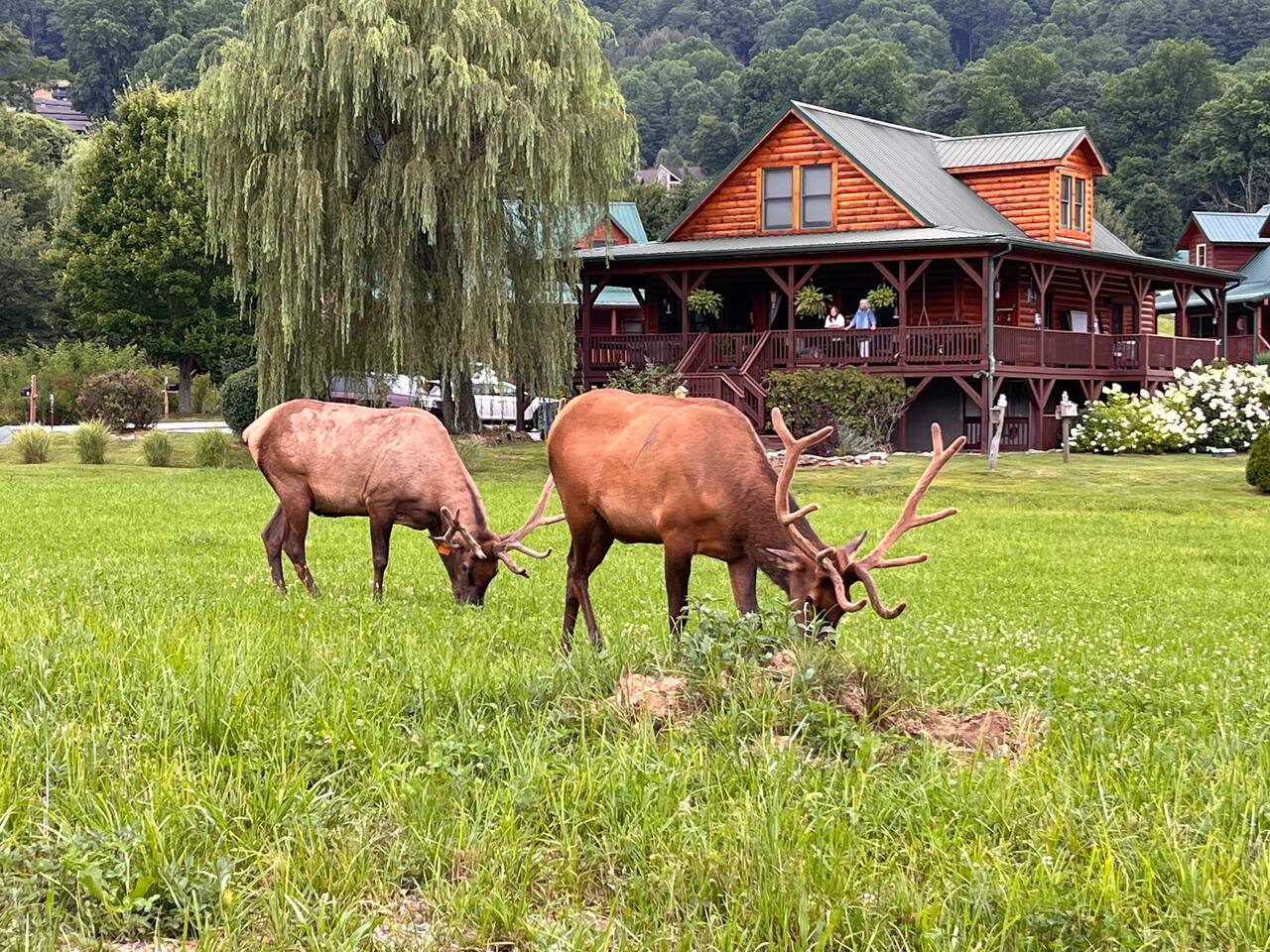 2 master suites, clean, cozy, wifi, covered porch