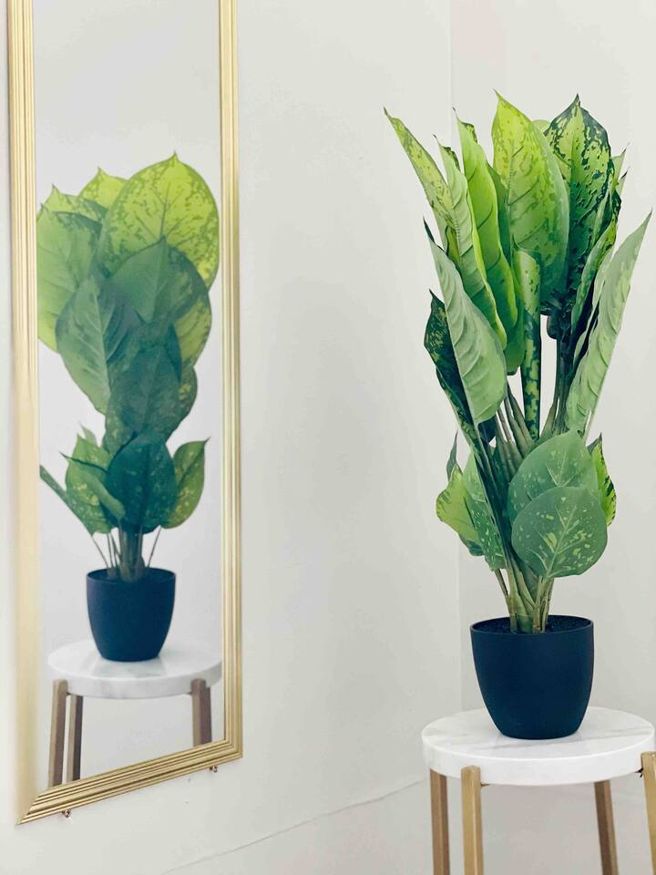 Leaning House of Haynie B|  King 2BD/1BA Apt