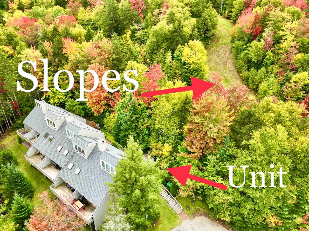 SKI in SKI OUT  5 Bedroom Pools passes 1 gig wifi