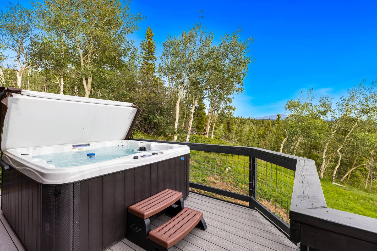 Lamb Mountain Ranch Secluded Eight Acre Fairplay Cabin with Hot Tub and Game Room — 5