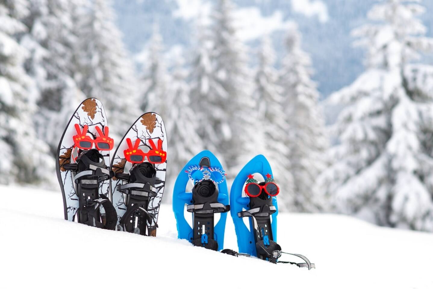 AttitashResort! 1-flr, studio, secure check-in