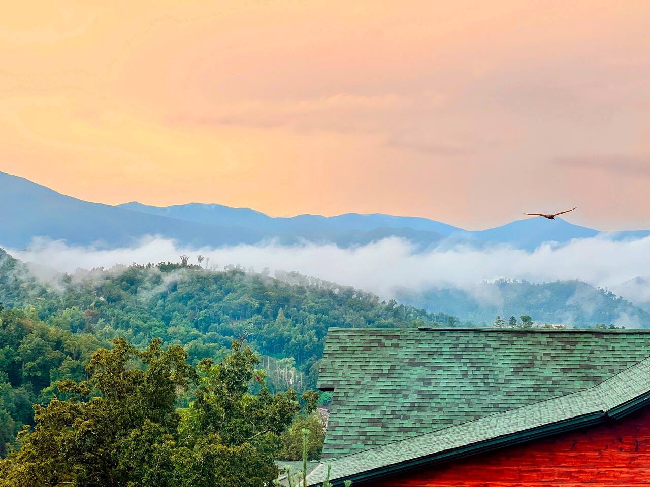 4 the Views-A Gatlinburg Gem w/Theater UptheAnteTN