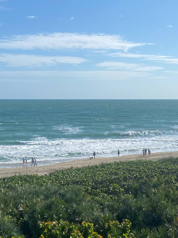 Spectacular Beachfront Condo