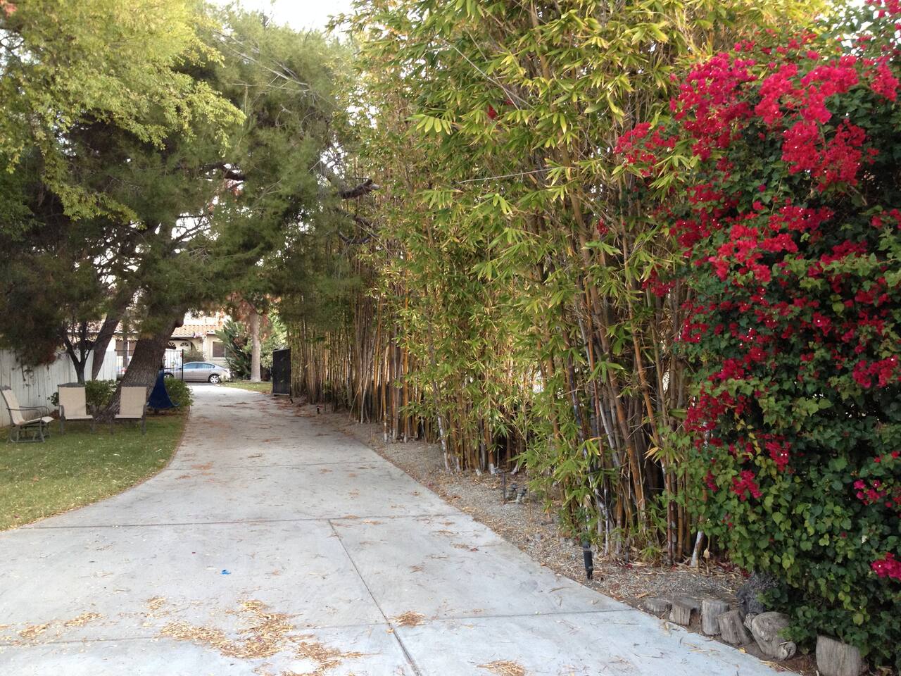 Zen and Bright Private Studio