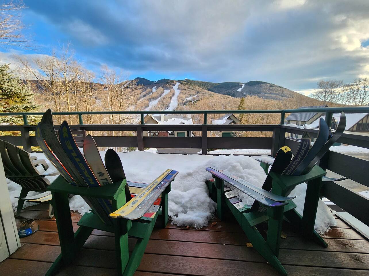 Front and Center Loon Views! 4 Bedrooms & 4 Baths